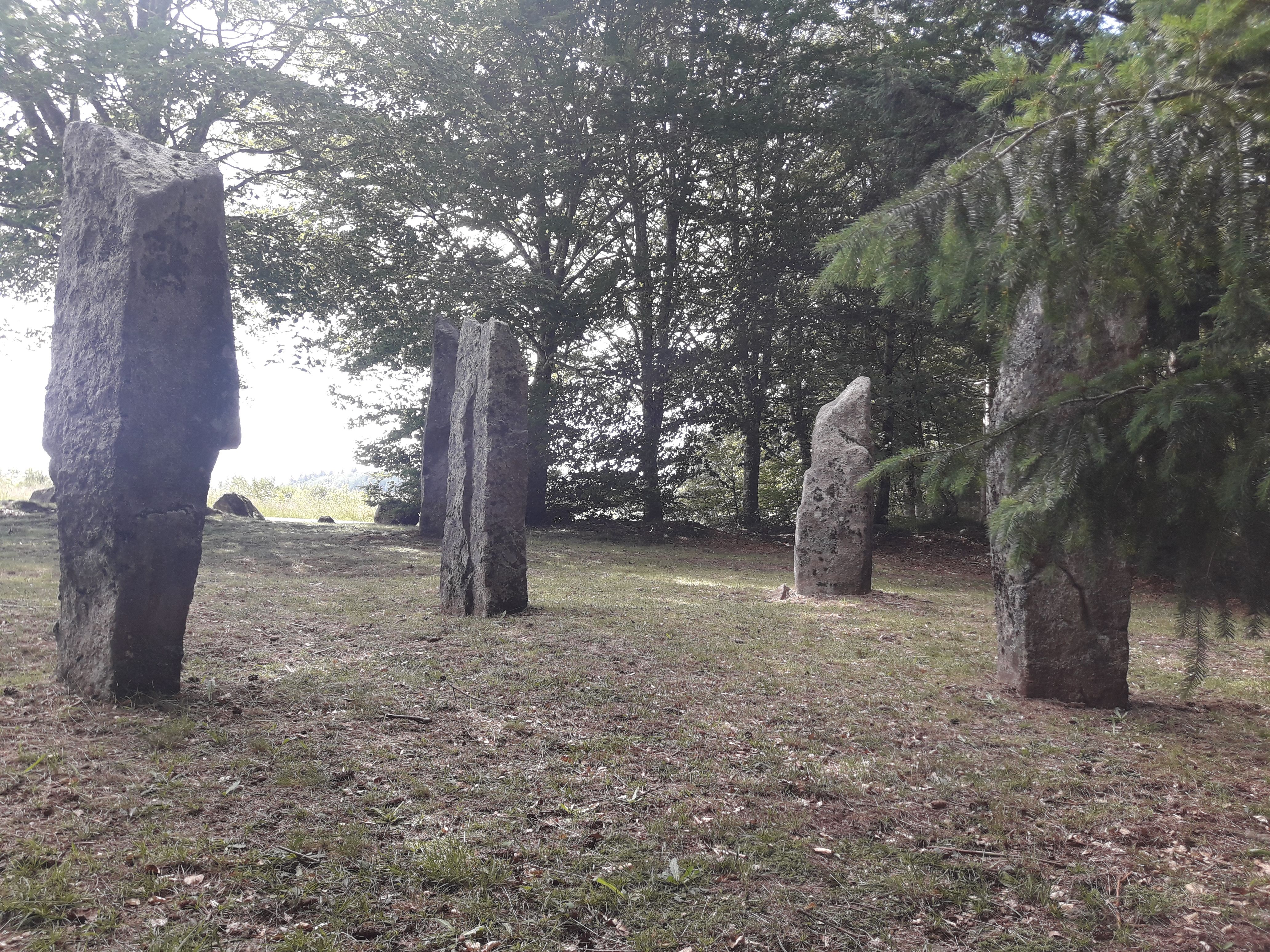 VTT - Gravel - Sur le plateau des Agriers - 17 km - circuit 63, Lamazière-Haute - photo 3