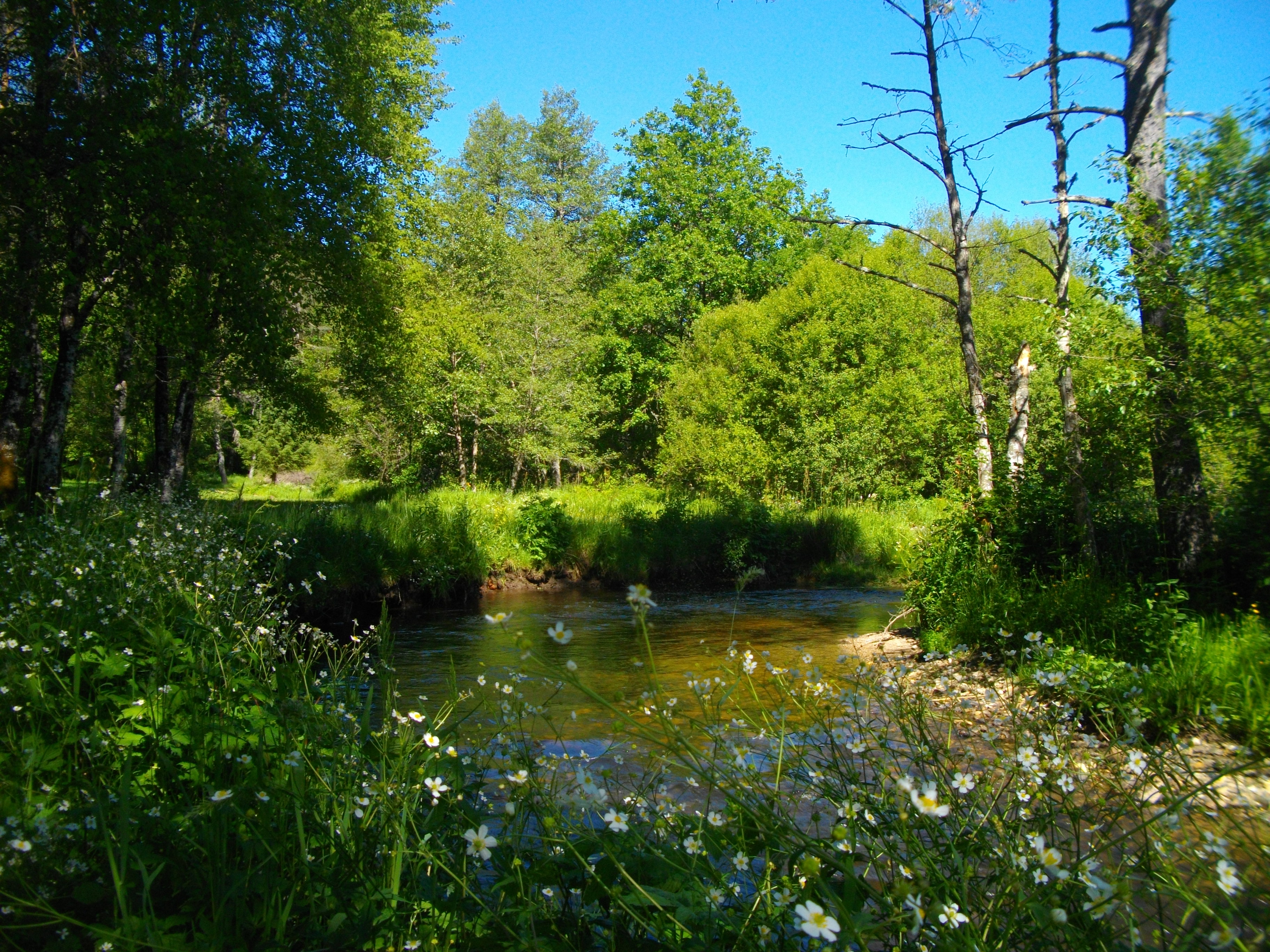 VTT - Gravel - Vers Pras - 25 km - circuit 49, Sornac - photo 2