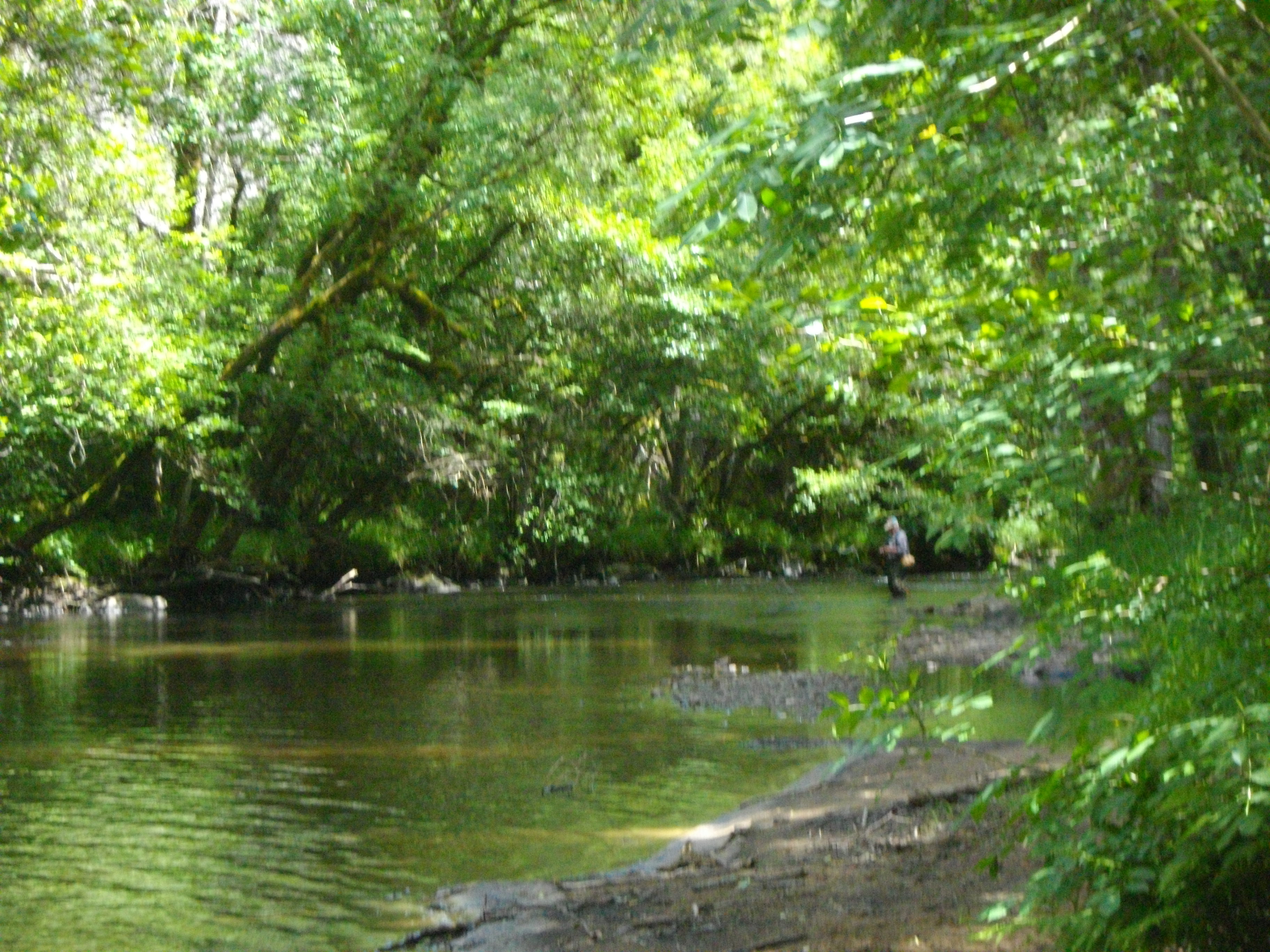 Lémovices ou Arvernes ? - photo 4