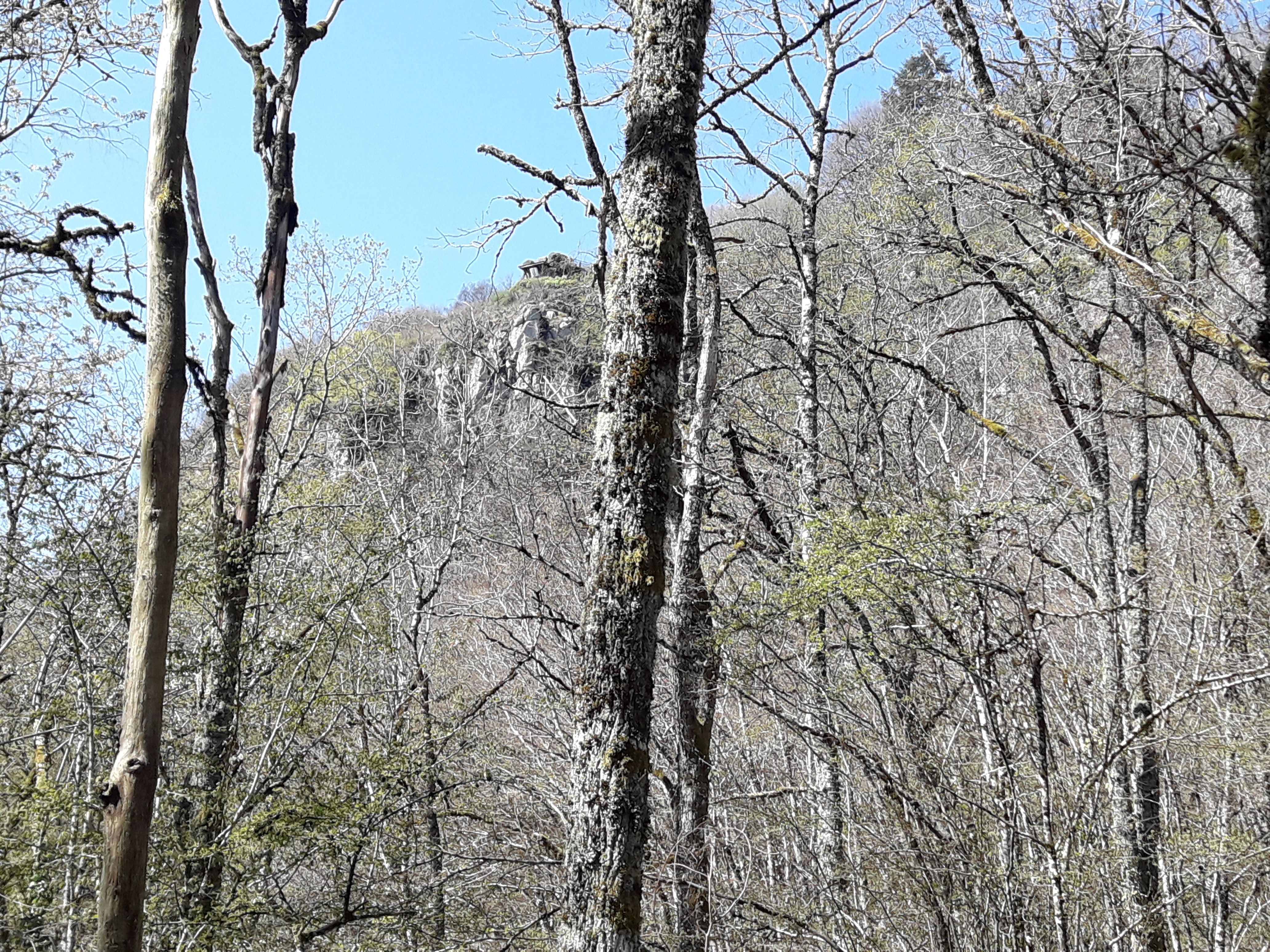 La Grange Bleue - 13 km - photo 3