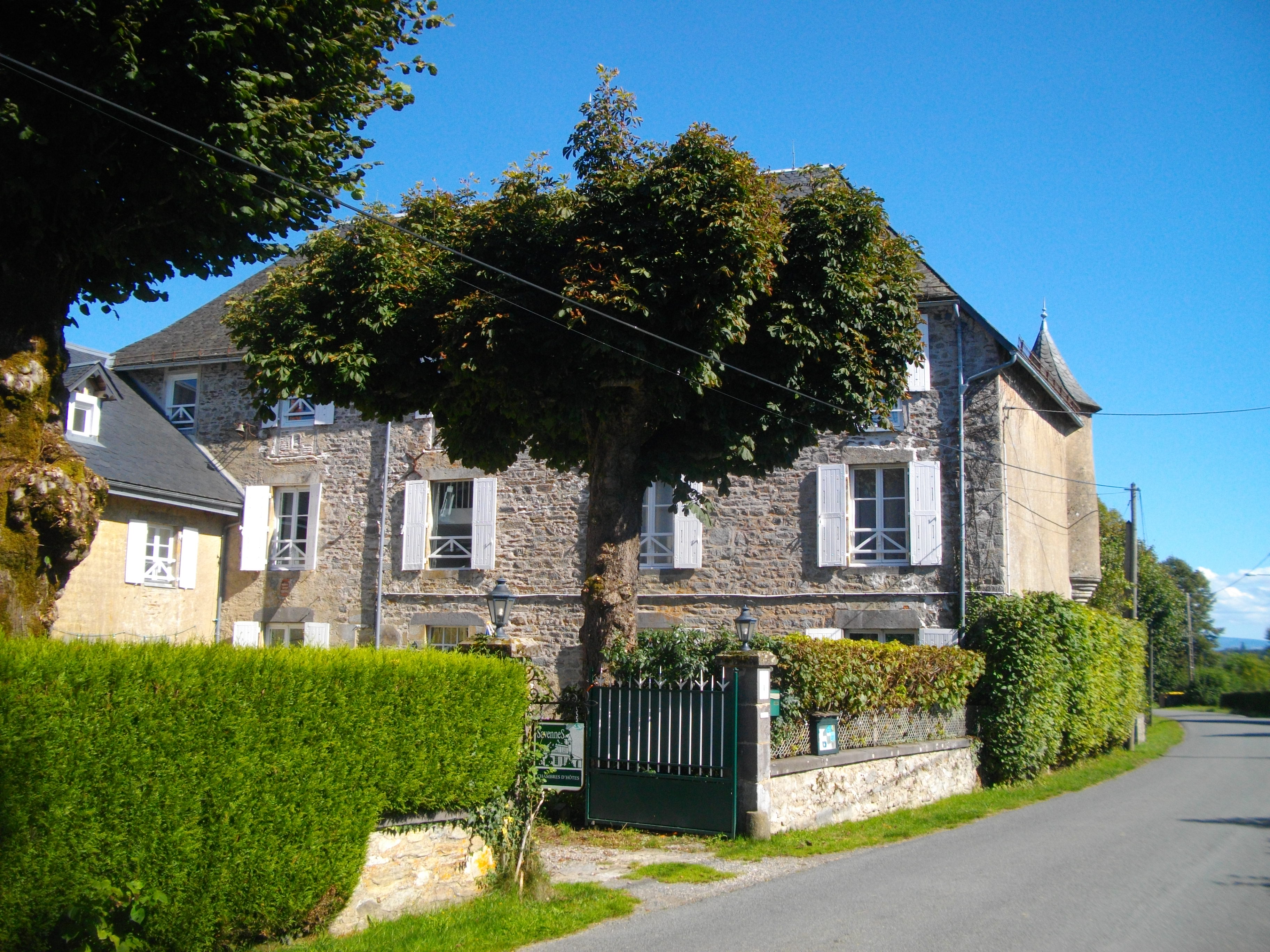 VTT - Gorges du Chavanon - 29 km - circuit 67, Merlines - photo 3