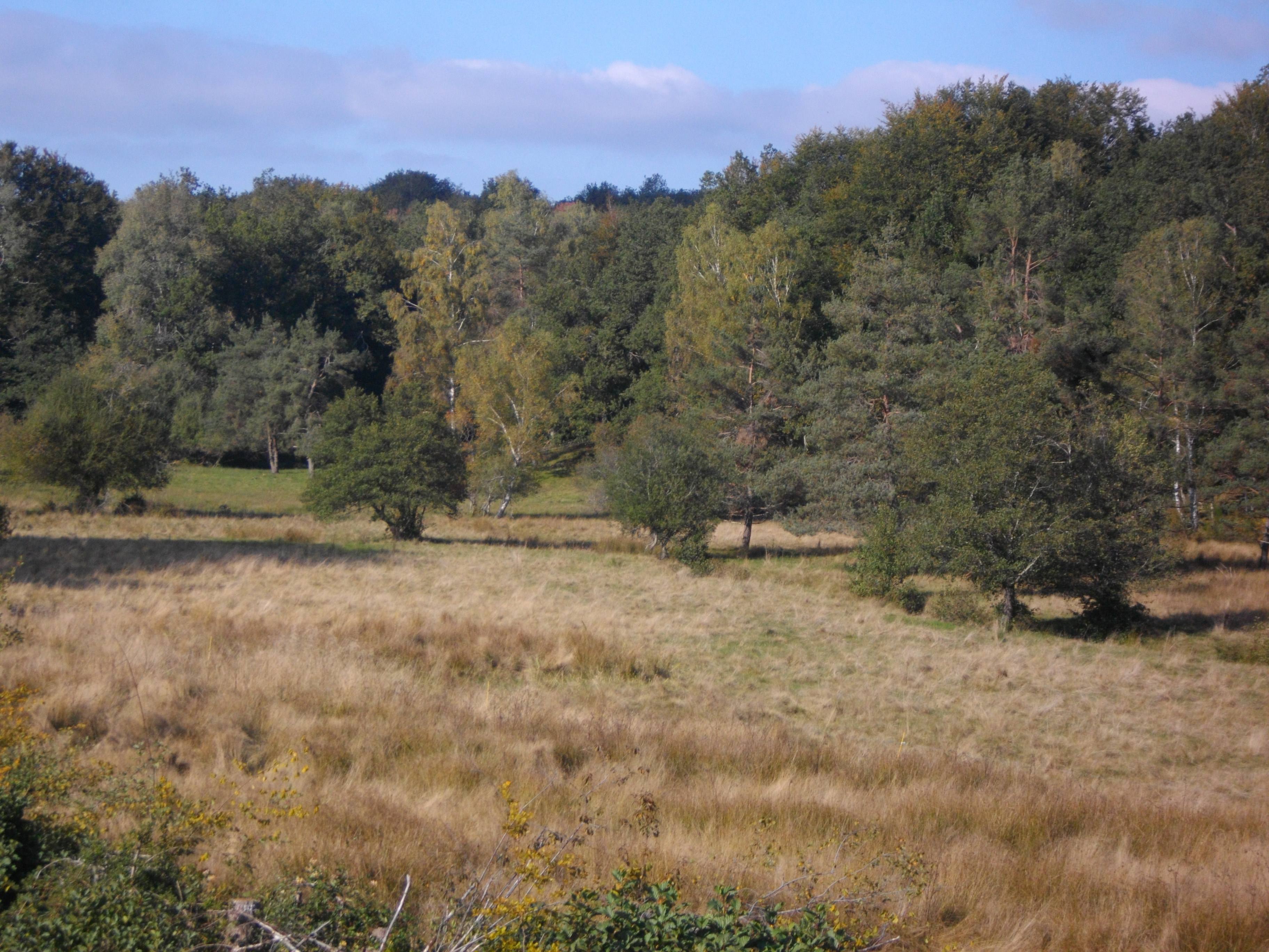 Lémovices ou Arvernes ?, Saint-Étienne-aux-Clos