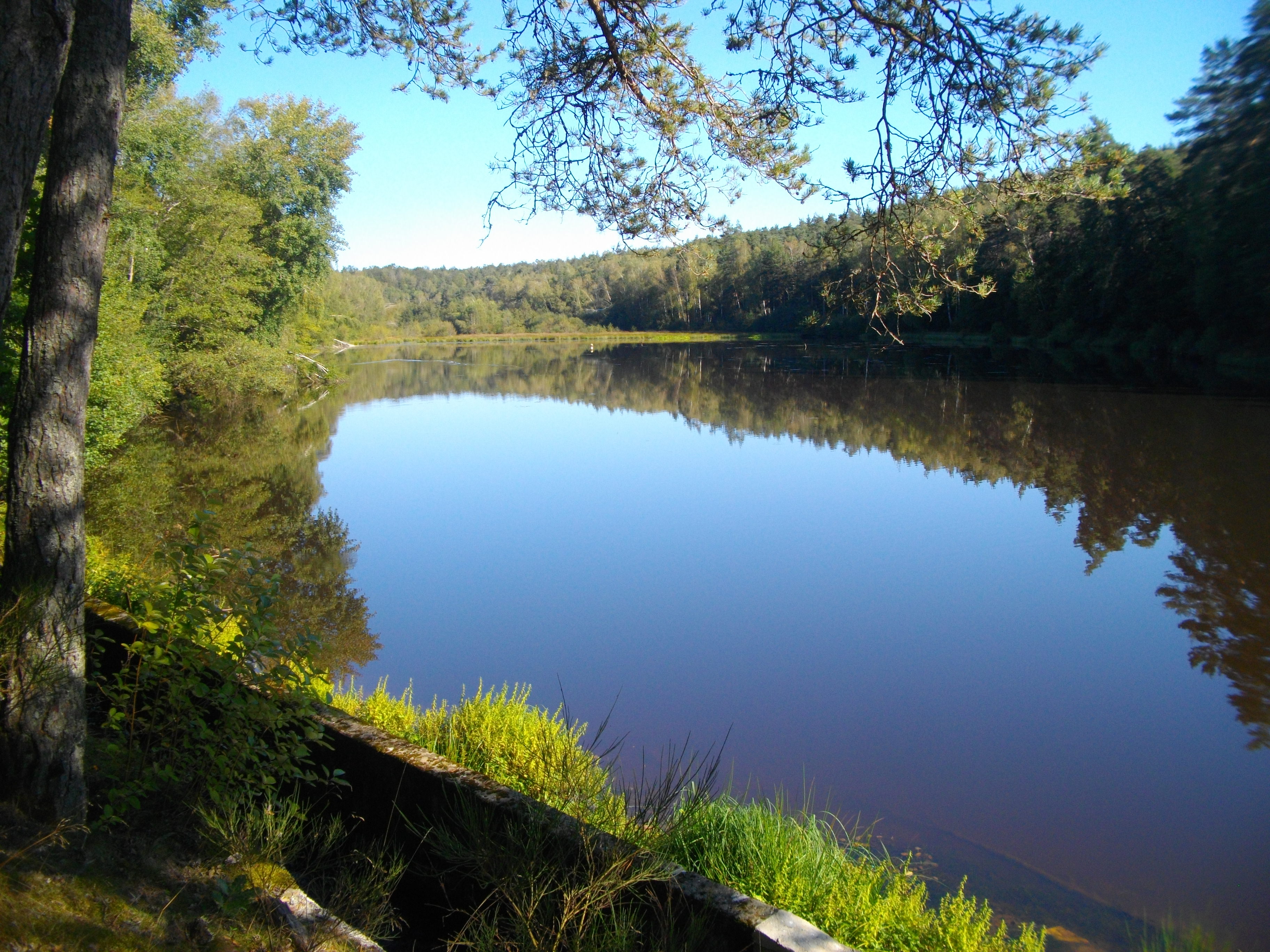 VTT - Gravel - Curieuses Eglises - 23 km - circuit 21, Saint-Exupéry-les-Roches - photo 5