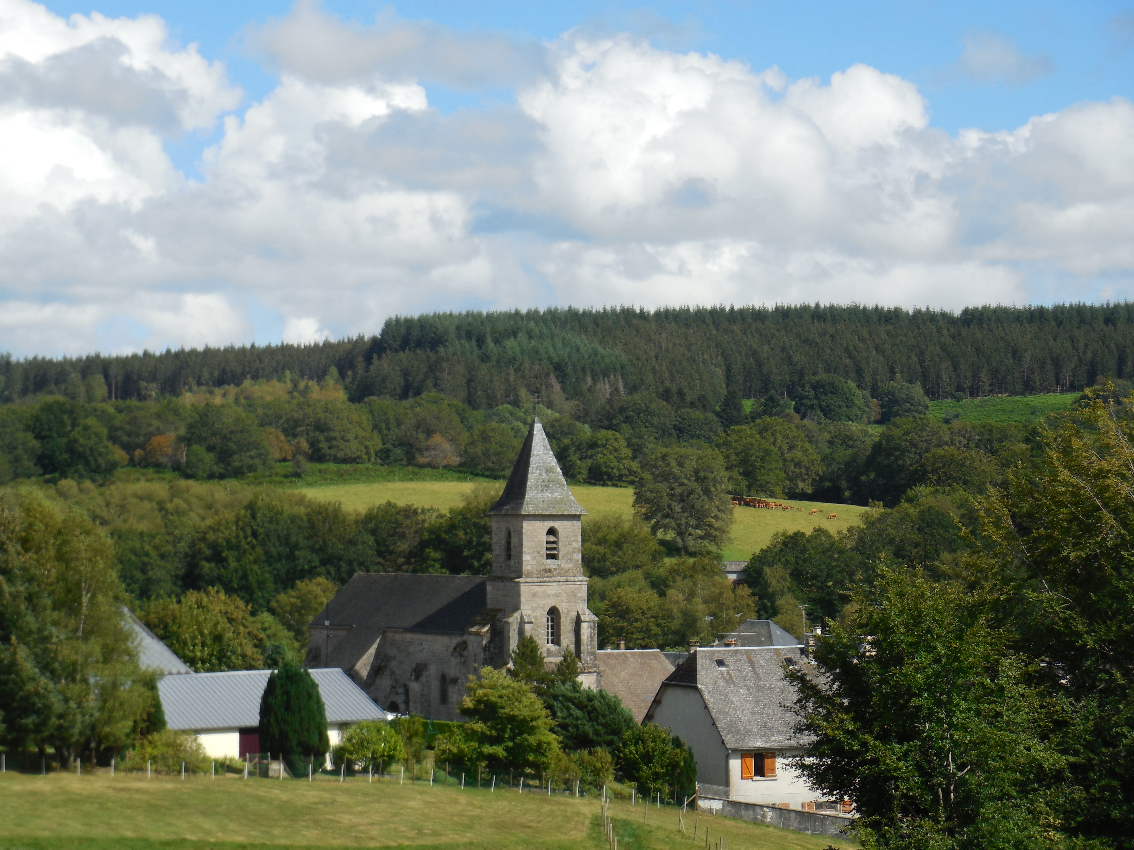 VTT - Gravel - Le Plateau de Millevaches - 53 km - circuit 44, Saint-Setiers - photo 4
