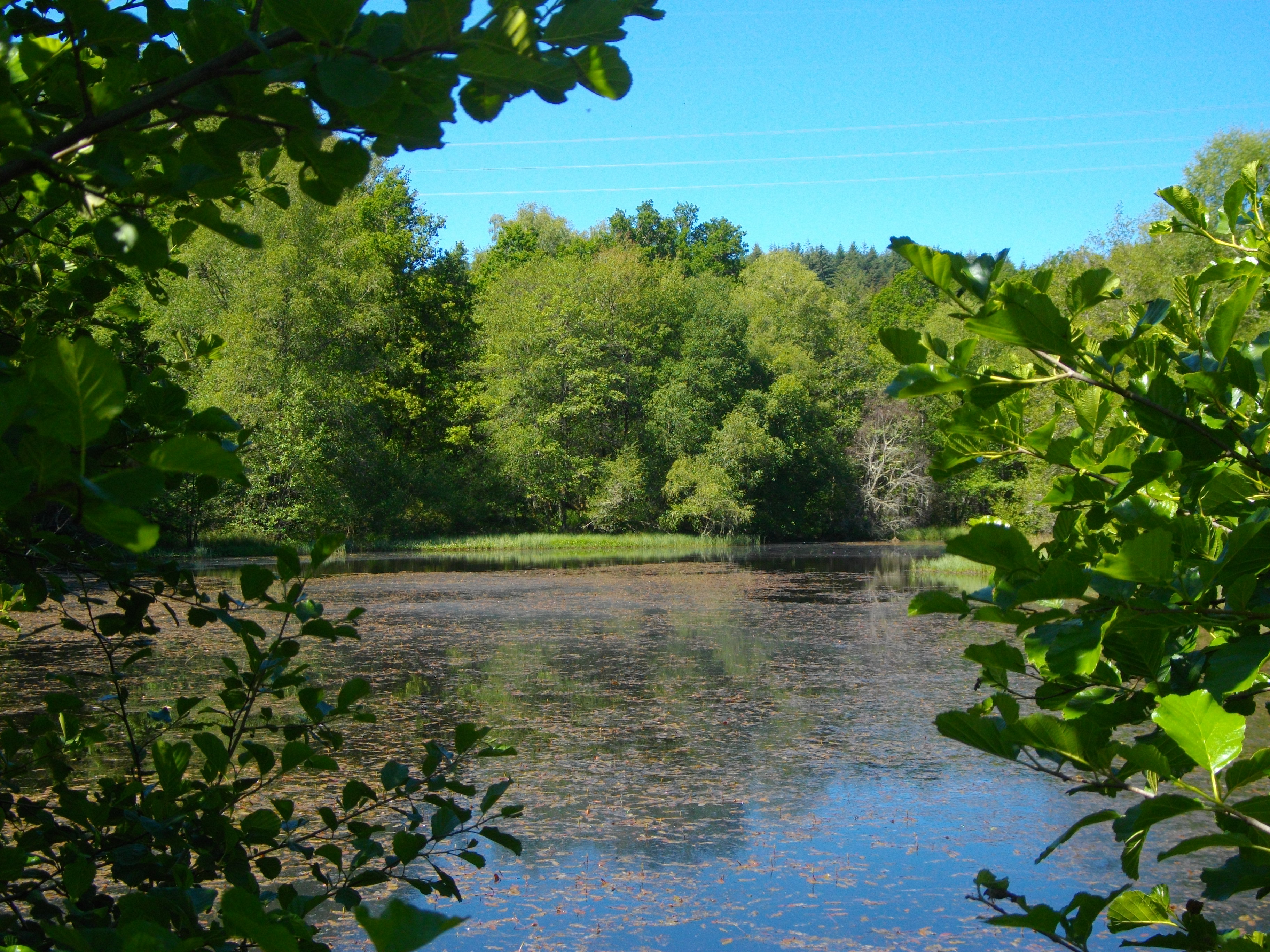 VTT - Gravel - Le Plateau de Millevaches - 53 km - circuit 44, Saint-Setiers