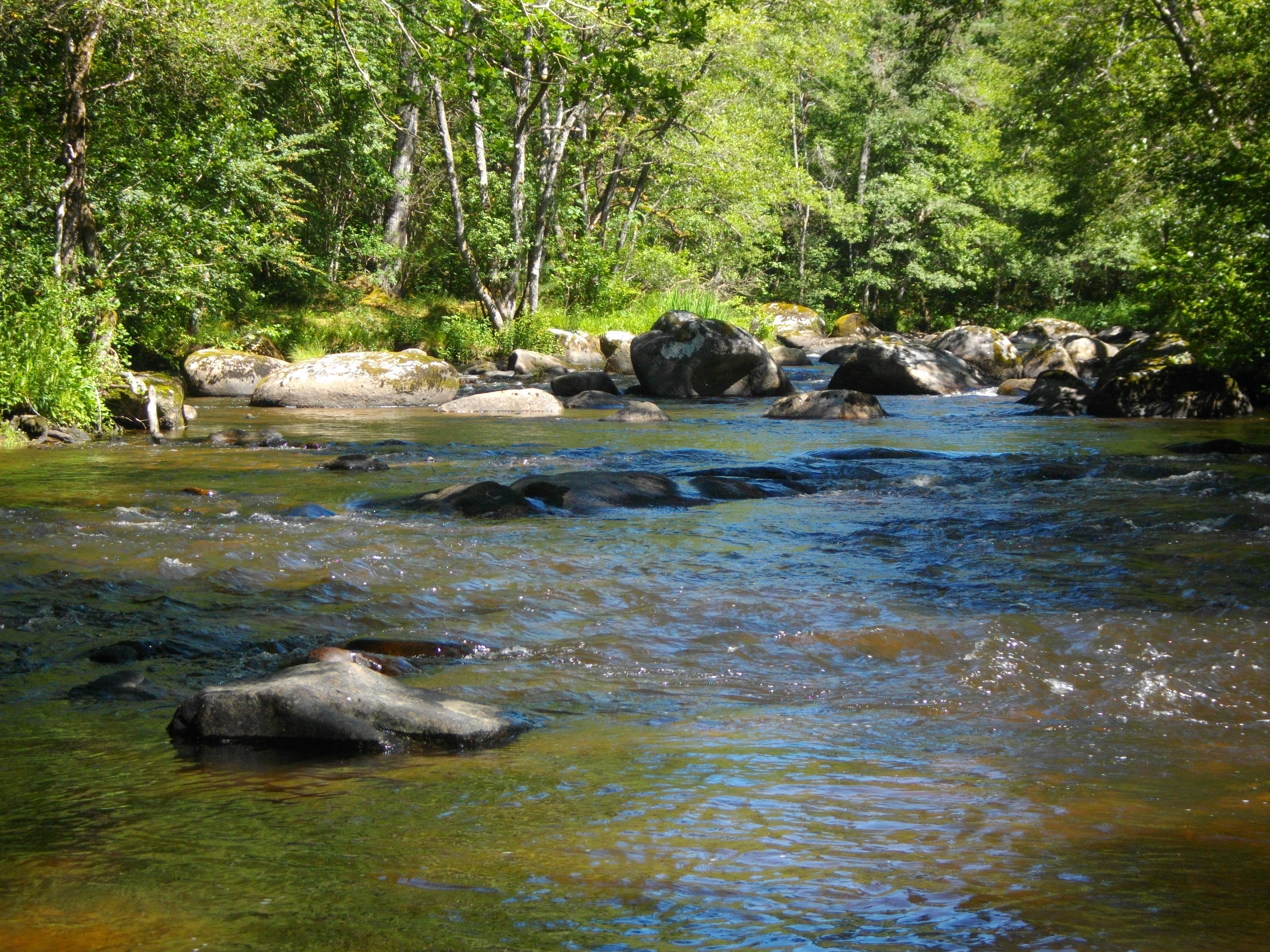 La rivière Diège