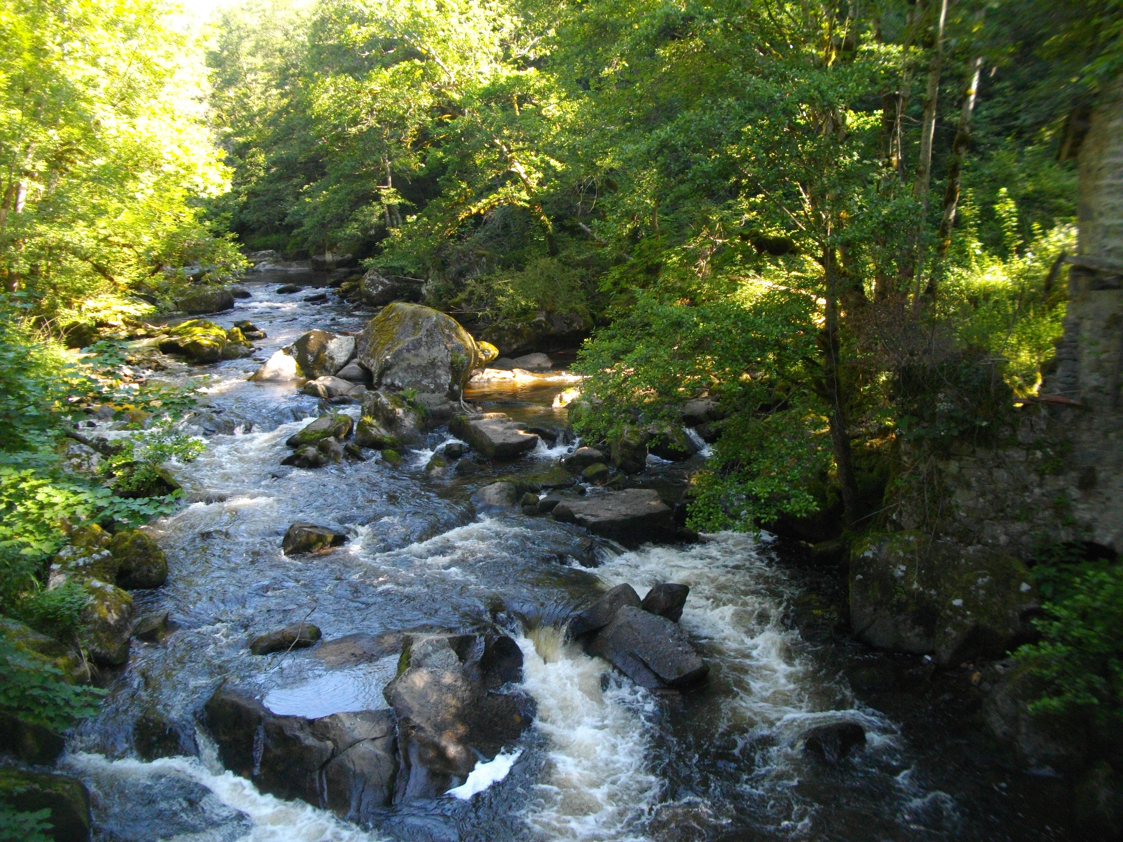VTT -  Gravel - Pittoresque vallée - 13 km - circuit 18, Mestes - photo 4