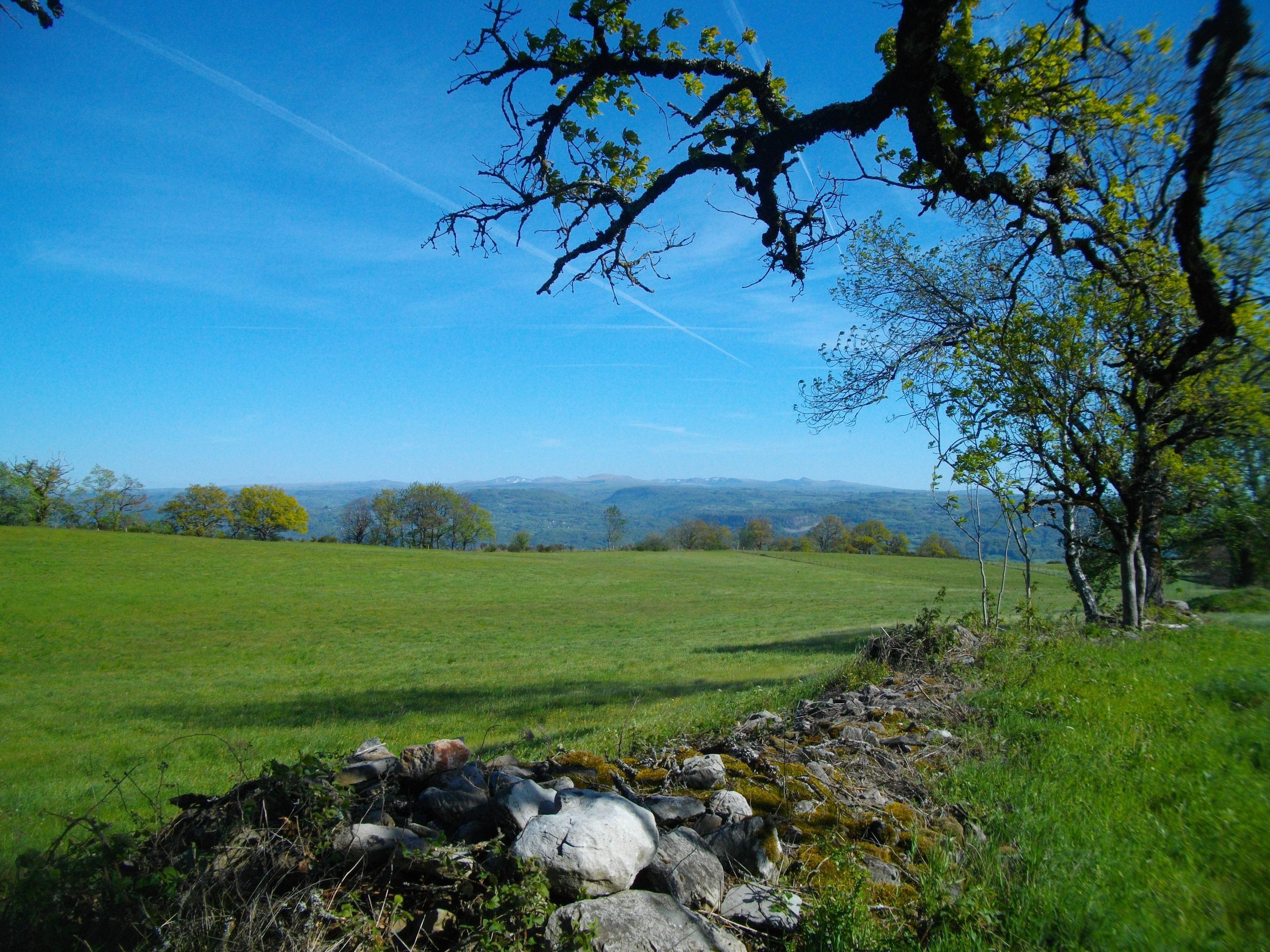 La montée aux Orgues par les chemins du Sacristain et de la Vierge - Parcours PAPSE - 7 km - photo 3