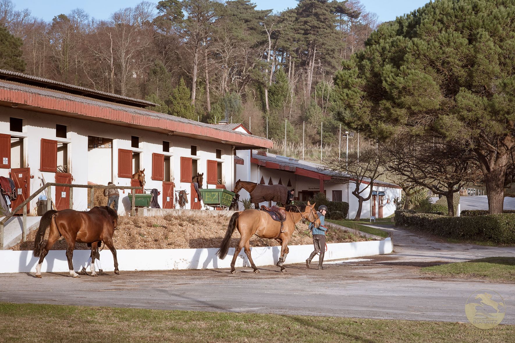 Pôle Équestre de Biarritz - photo 3