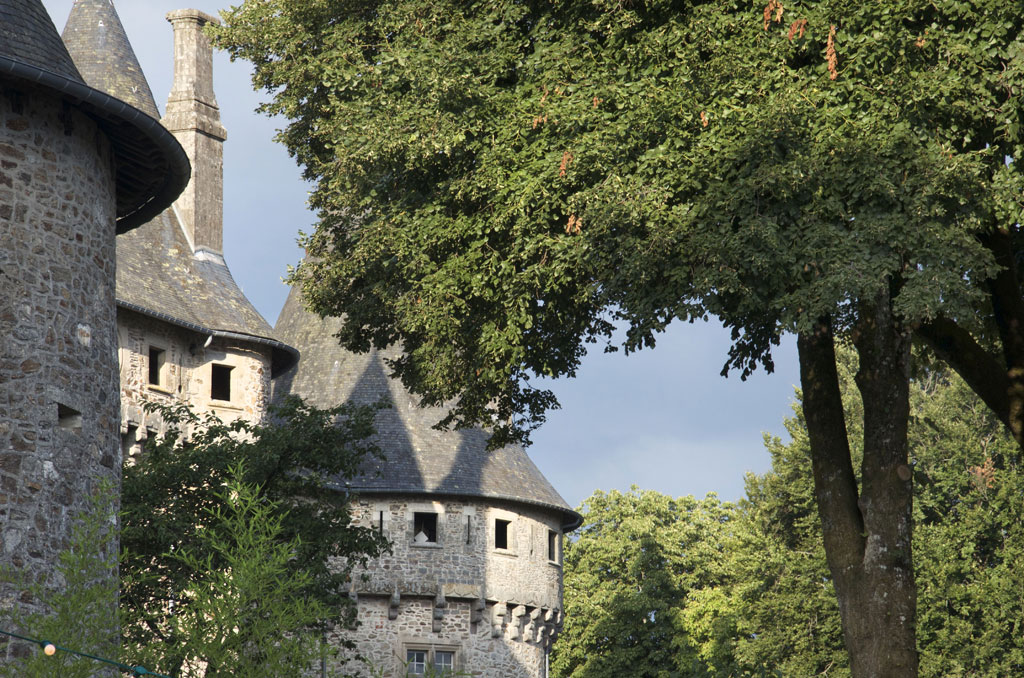 Pompadour, Arnac-Pompadour - photo 4