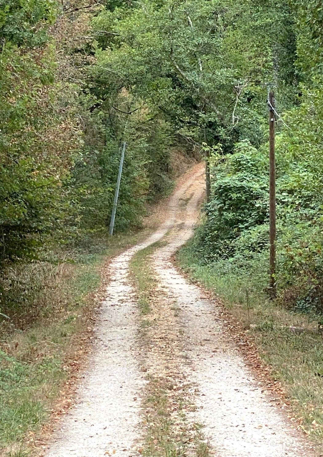 Boucle de Ponteyraud - La Cote - photo 3