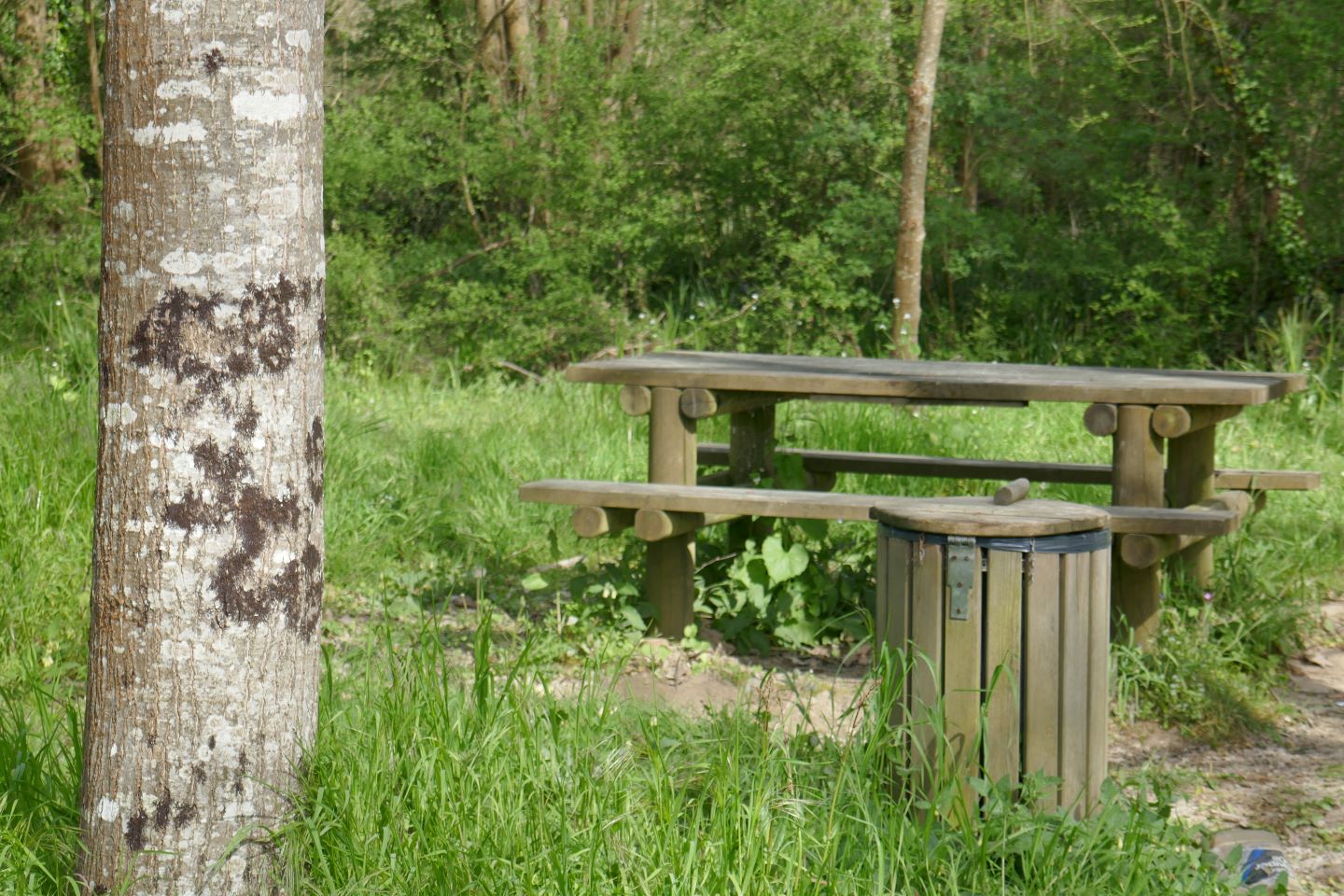 Larreule : les Bénédictins, Larreule - photo 2