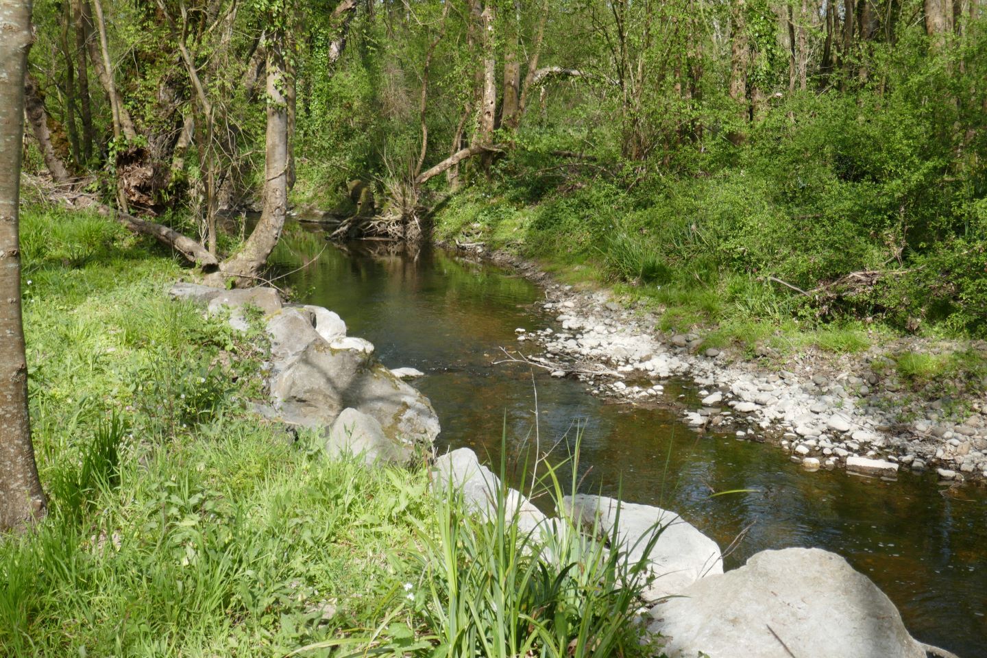 Larreule : les Bénédictins à cheval, Larreule - photo 3