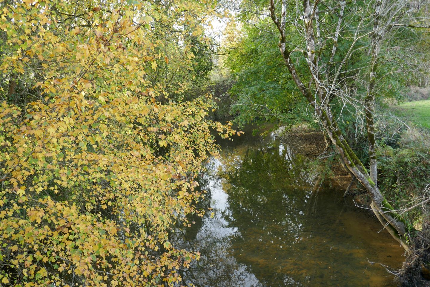 Lème : du Luy au Lous, Lème - photo 3