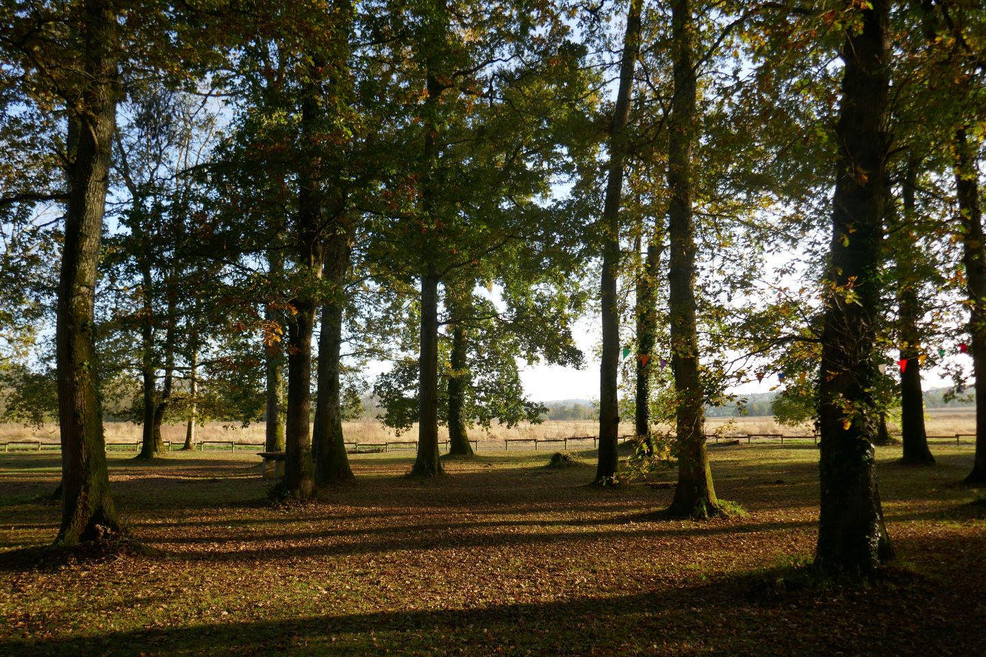 Montagut : le Luy de France - photo 2