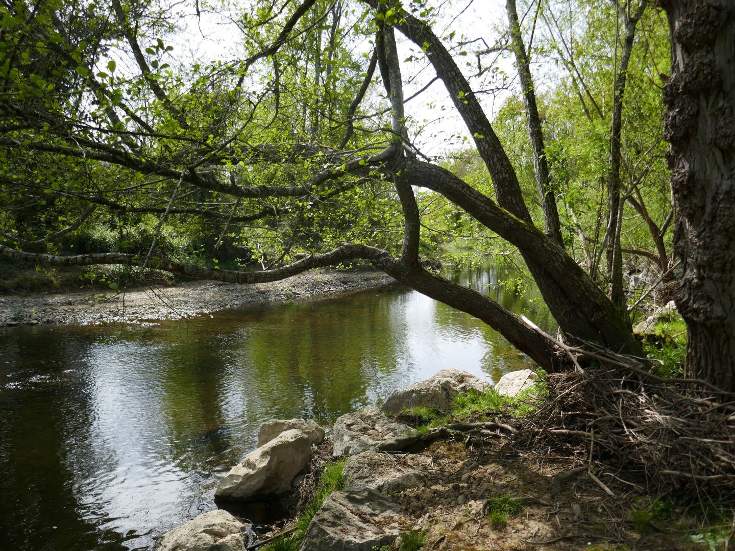 Geüs-d'Arzacq : le Luy de Béarn (version courte)