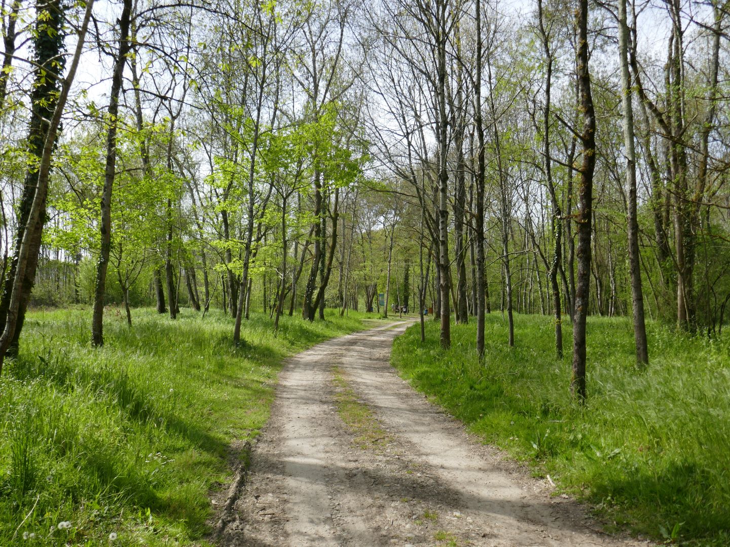 Geüs-d'Arzacq : le Luy de Béarn (version courte) - photo 5