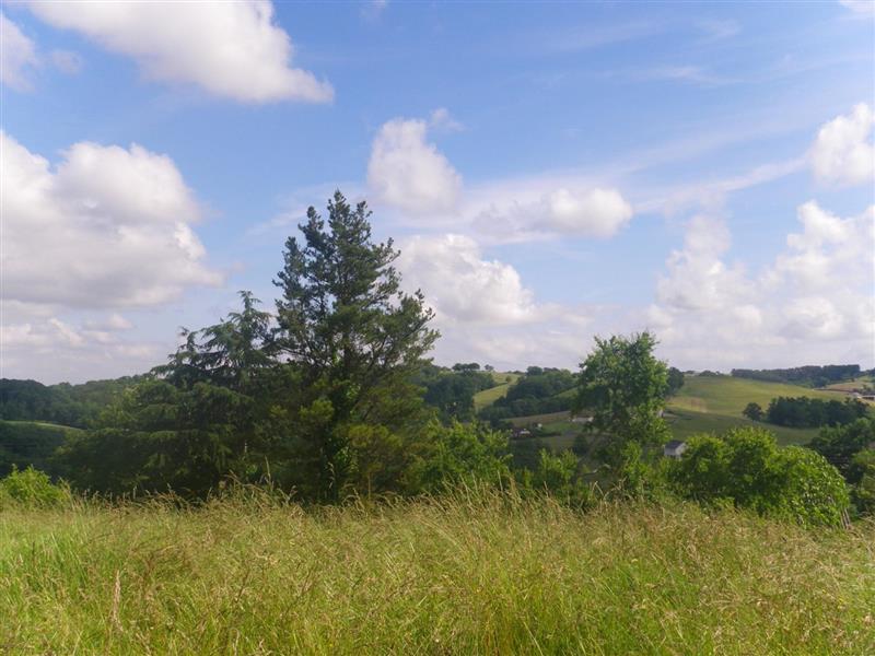 Louvigny : promenade Henri IV 