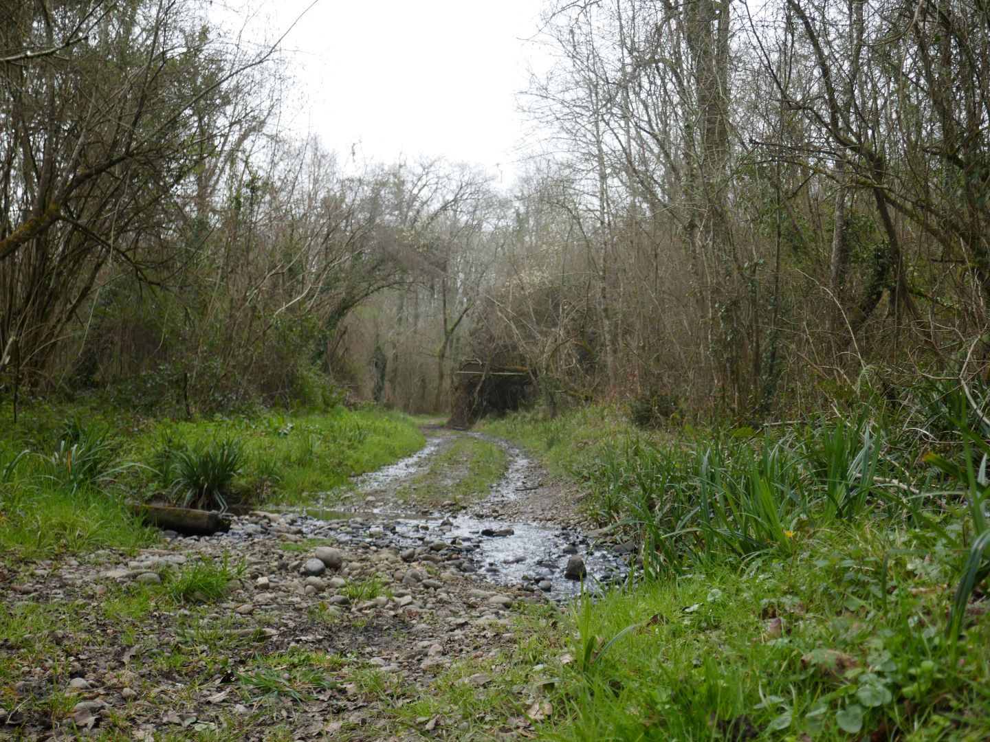 Poursiugues-Boucoue : aux confins du Tursan - photo 5