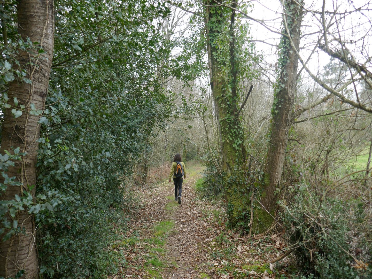 Poursiugues-Boucoue : aux confins du Tursan - photo 3