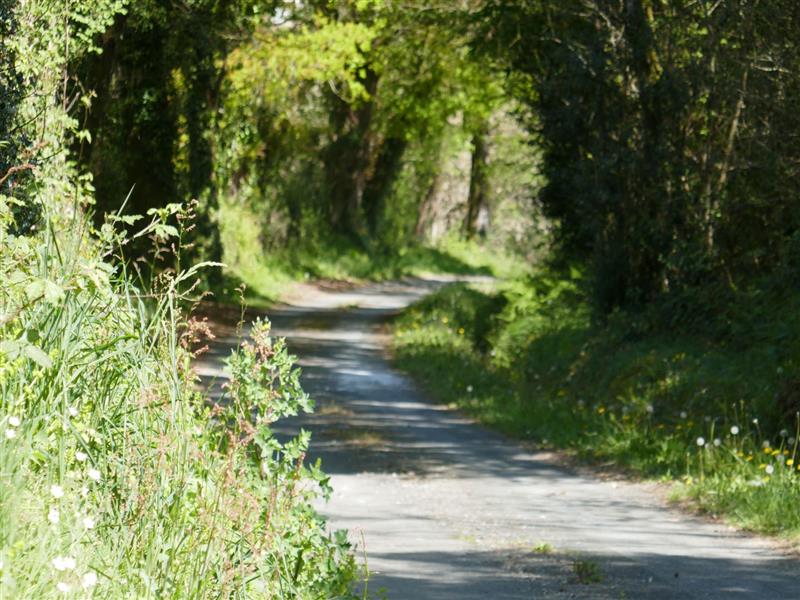 Poursiugues-Boucoue : aux confins du Tursan 