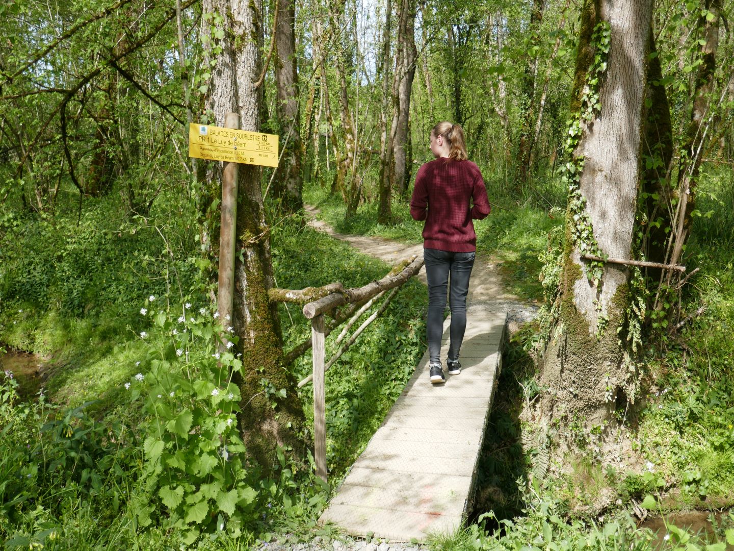 Geüs d'Arzacq : le Luy de Béarn - photo 4