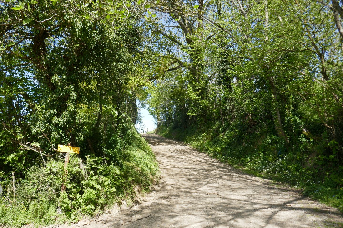 Cabidos : les Manoirs - photo 5