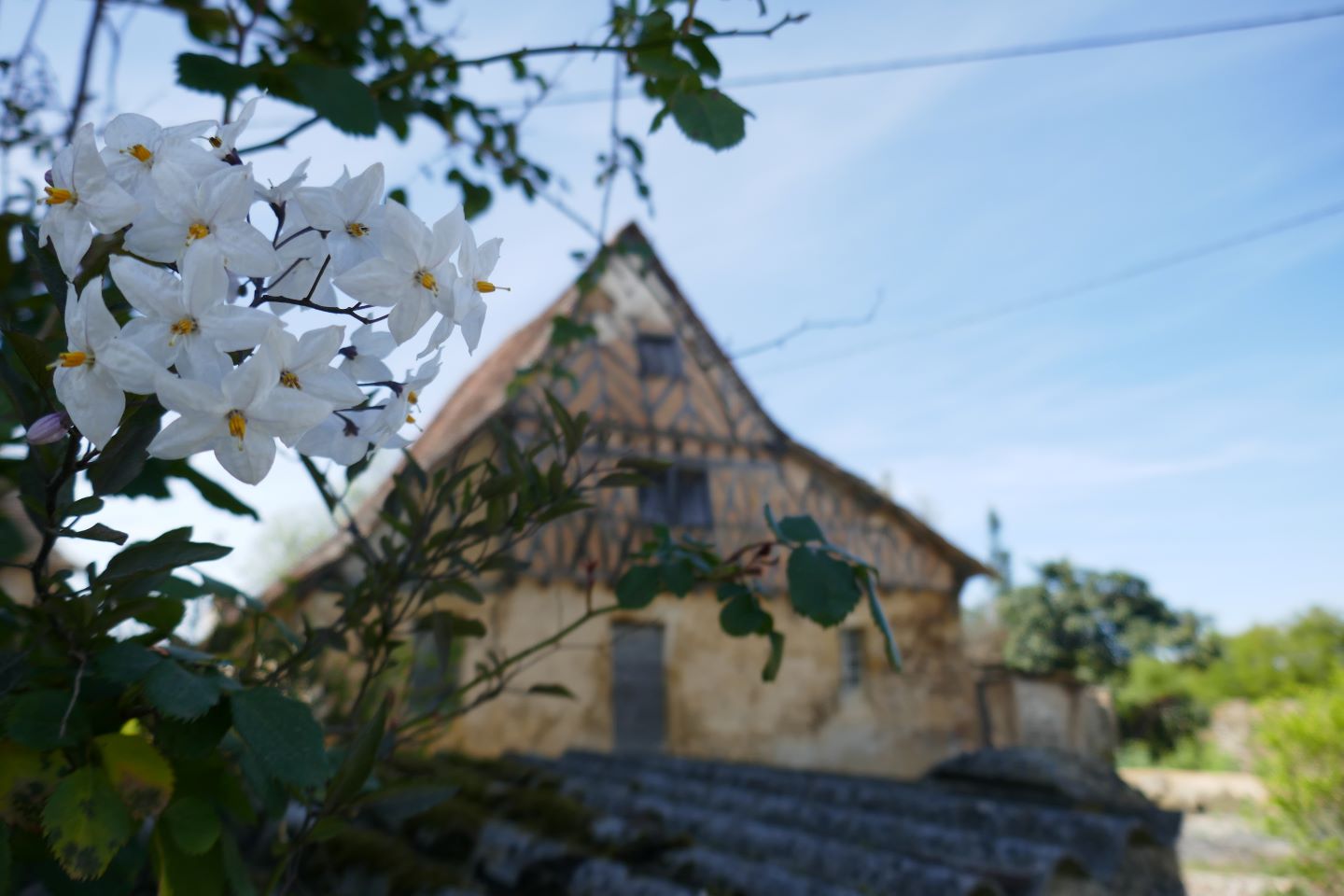 Cabidos : les Manoirs à VTT, Cabidos - photo 9