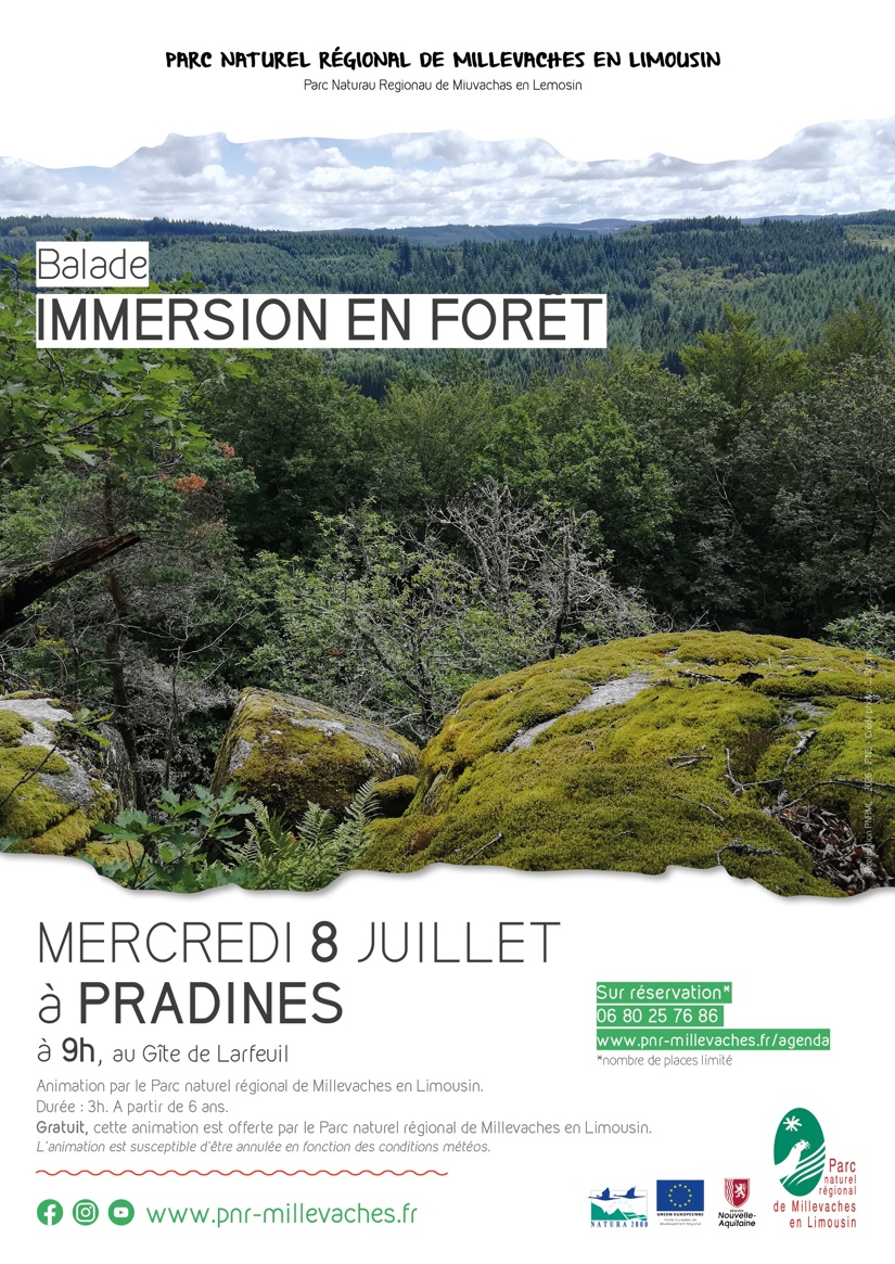 Immersion en forêt