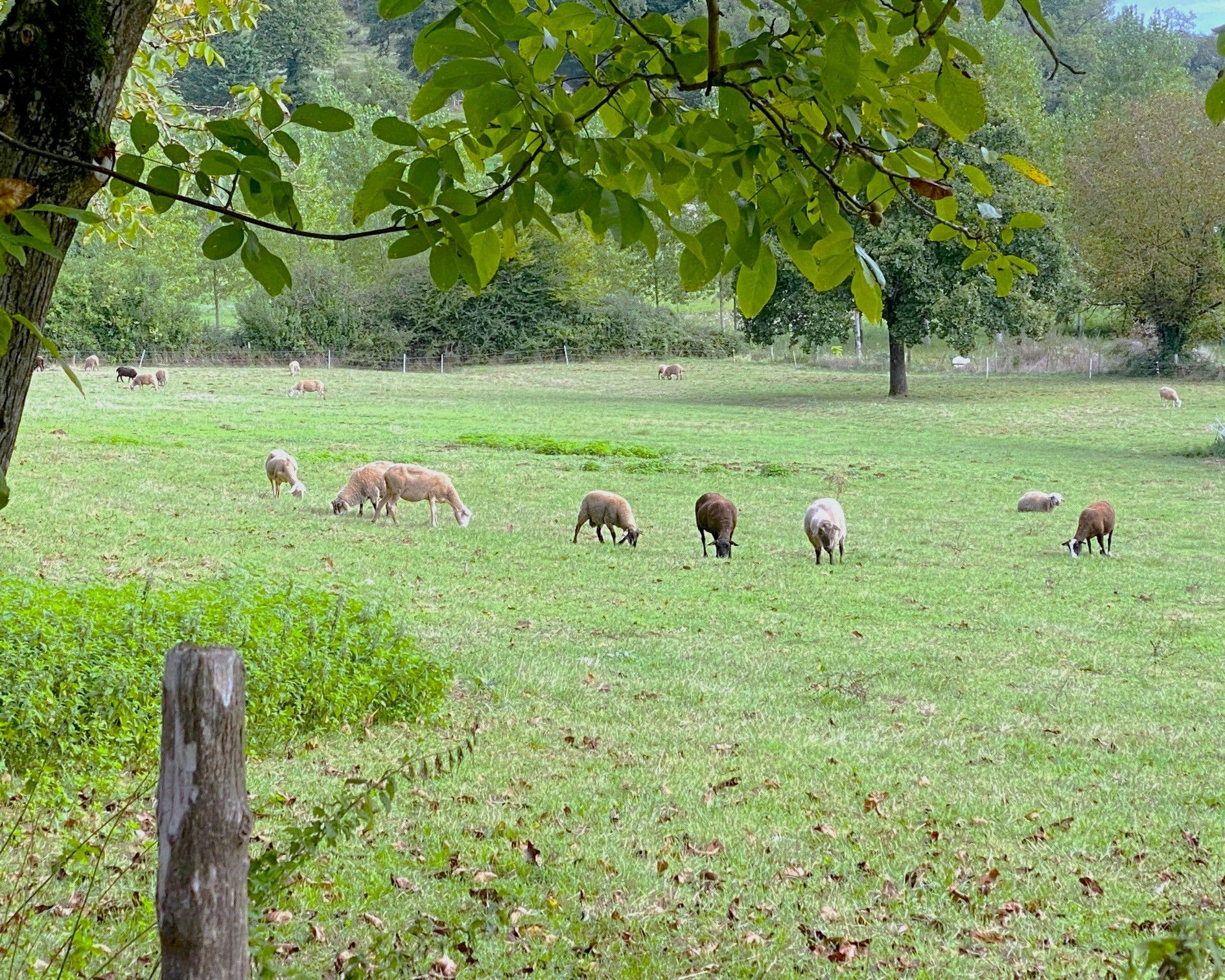 Boucle des Mines - photo 3