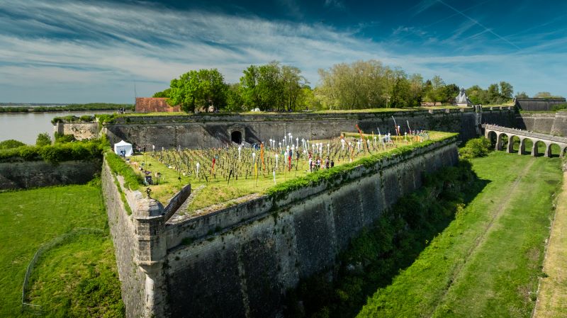 Printemps des vins de Blaye Côtes de Bordeaux - photo 4
