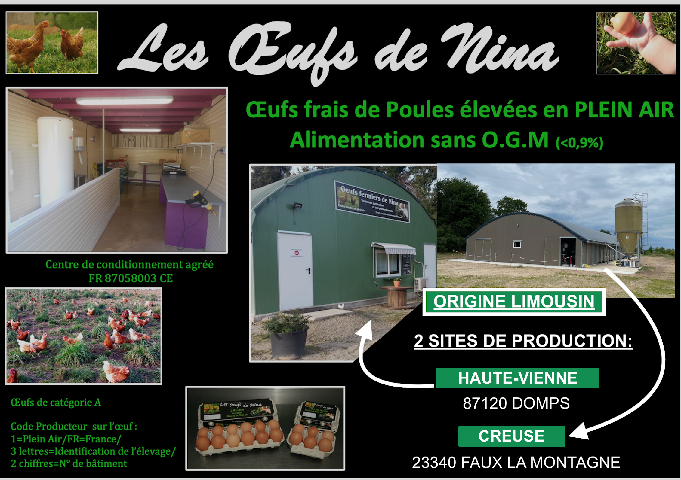 Les oeufs de Nina