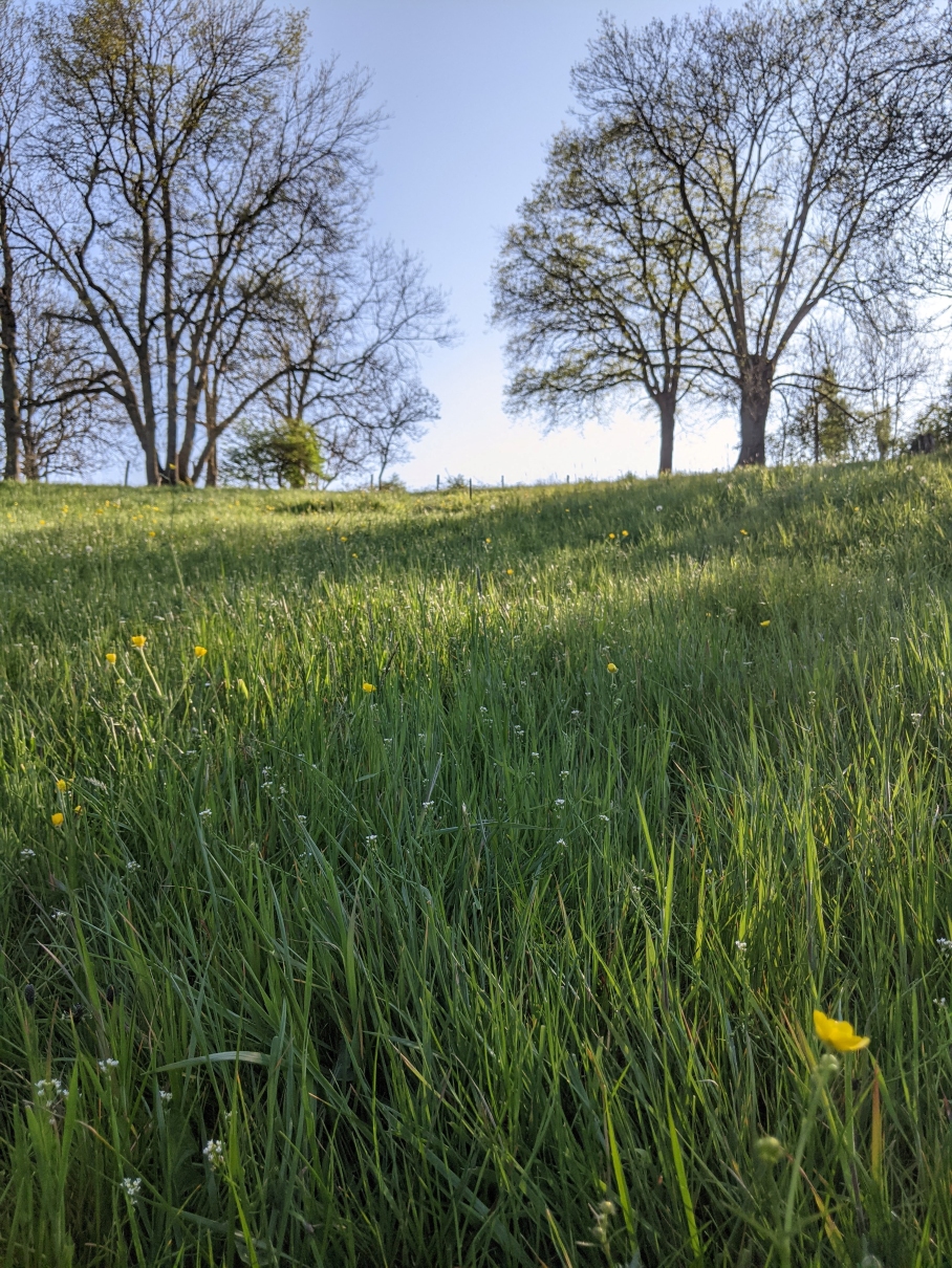 Le Moulin du Fresne - photo 3