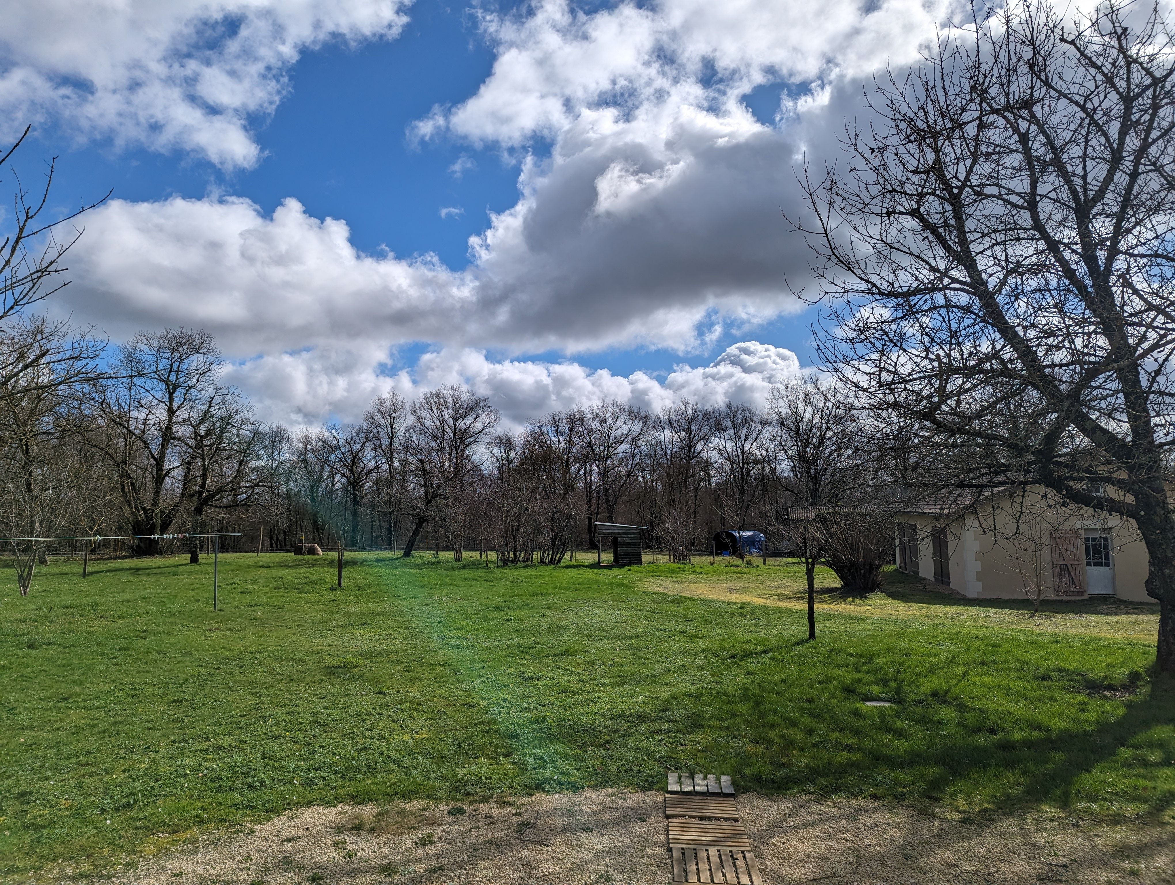 Domaine de Gratteloube, Valence-en-Poitou - photo 4