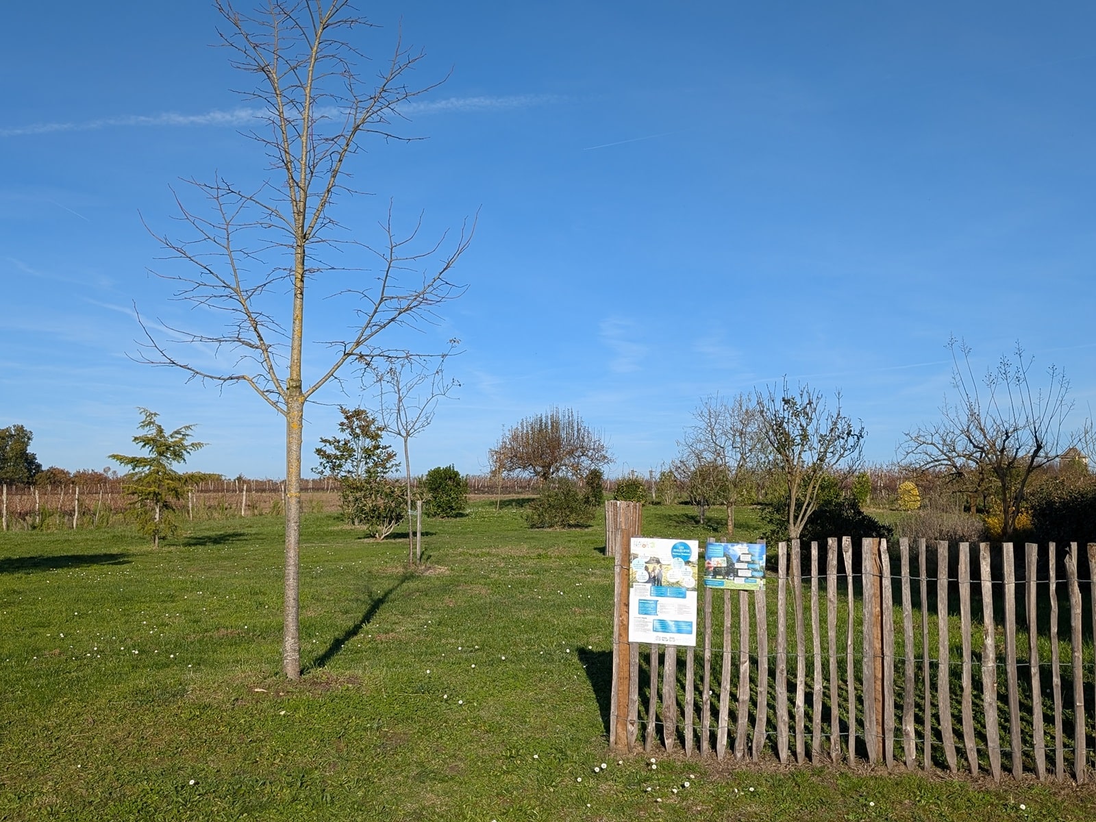 Aire de stationnement des Coteaux de Dieulivol - photo 2