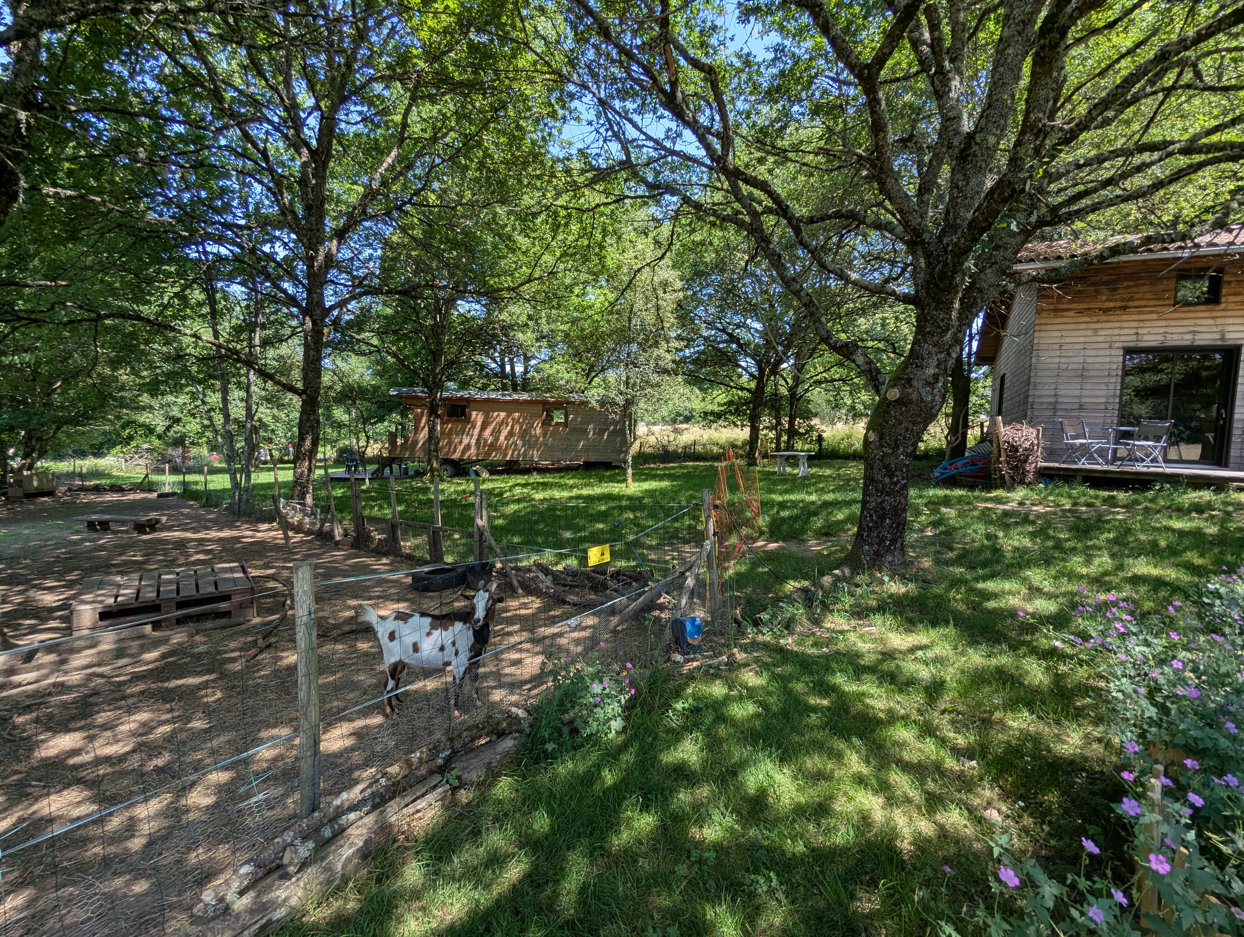 Chambre d'Art, Saint-Pardoux-le-Lac - photo 7