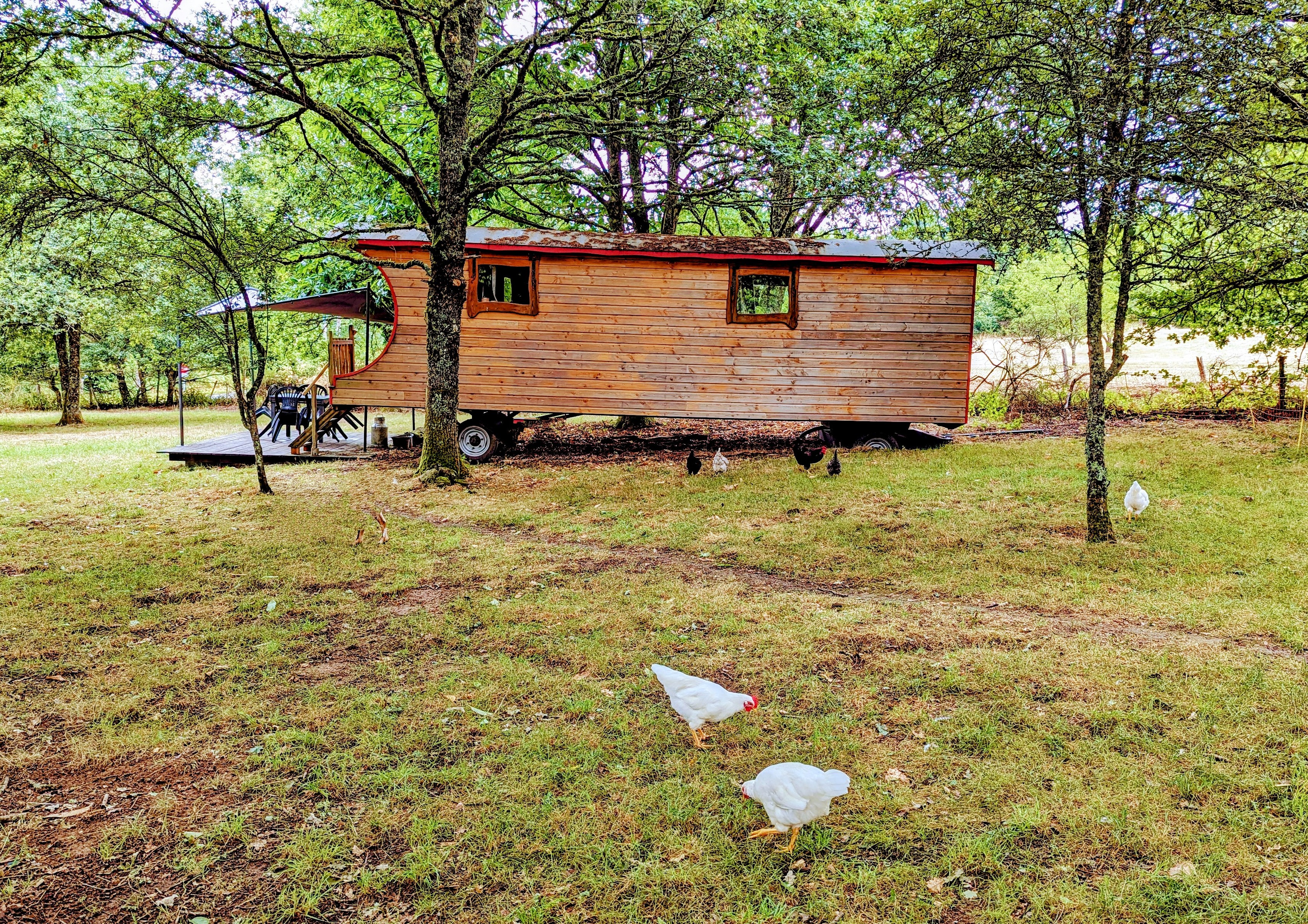 Roulotte La vert-Dîne, Saint-Pardoux-le-Lac - photo 13