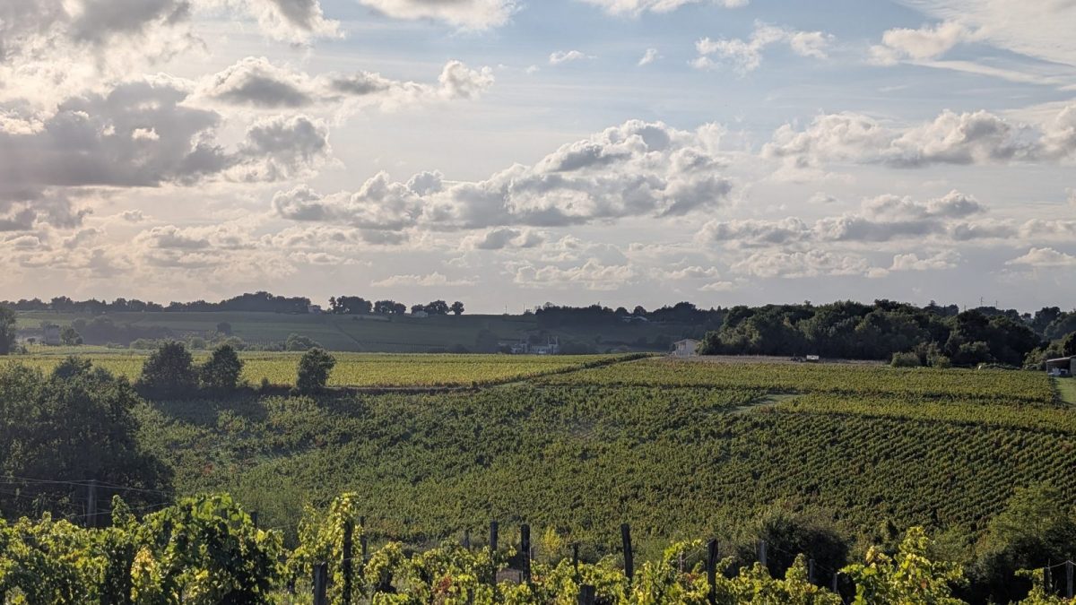 Château Mazeris - "Un dimanche au Château en Fronsadais-Libournais", Saint-Michel-de-Fronsac