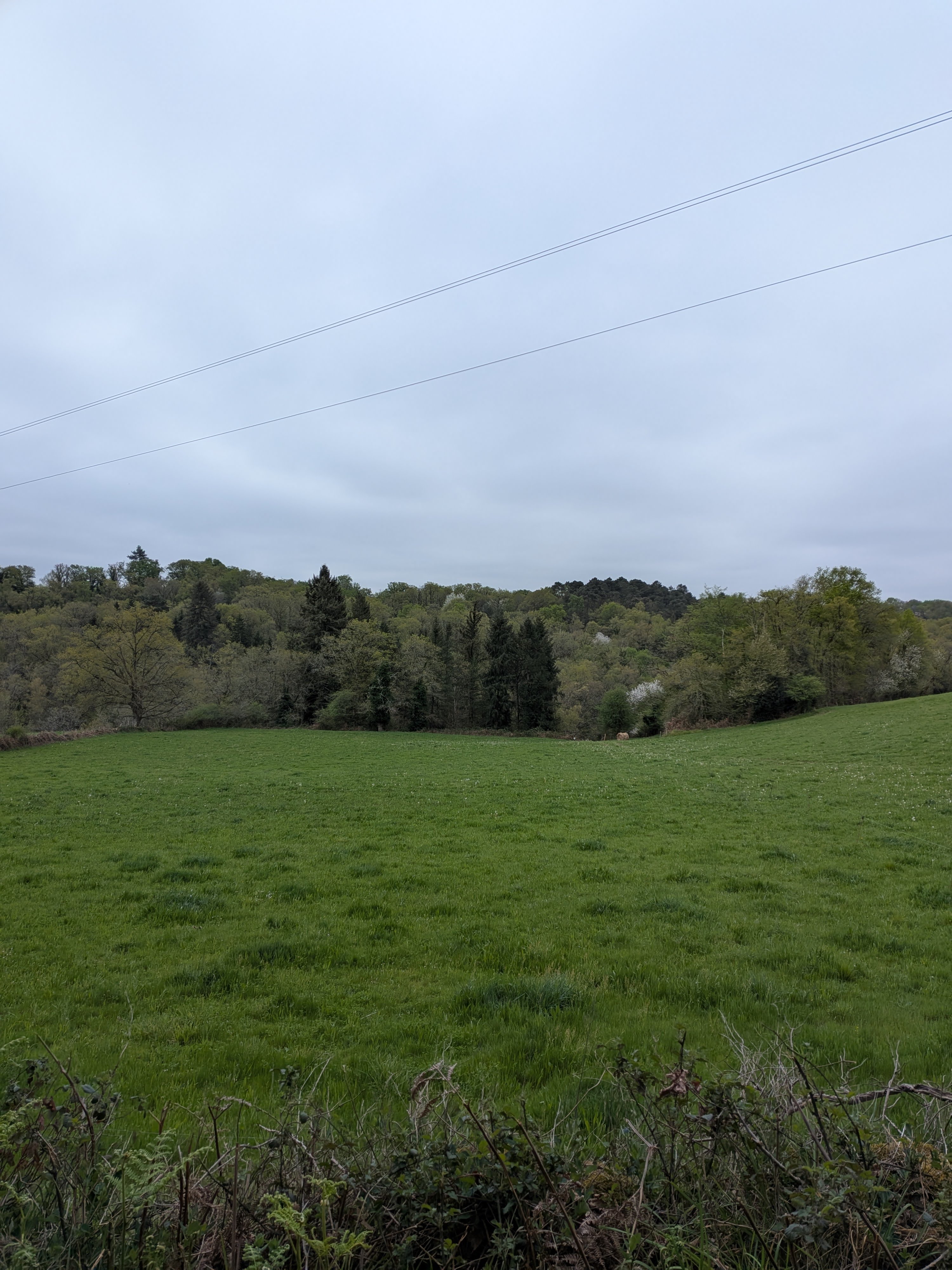 Les chênes qui dansent, Villefavard - photo 2