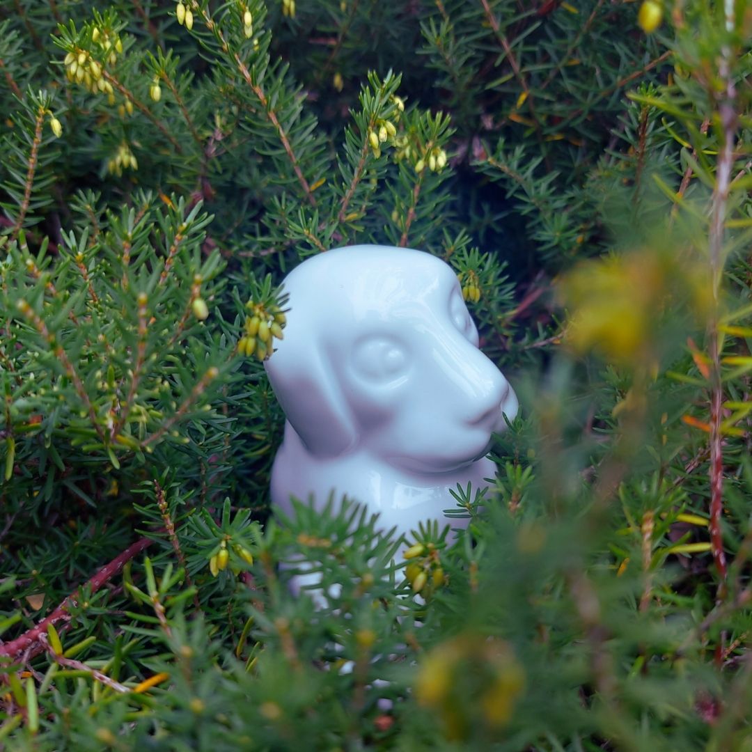 Mes premiers pas au musée - Un merveilleux jardin de porcelaine