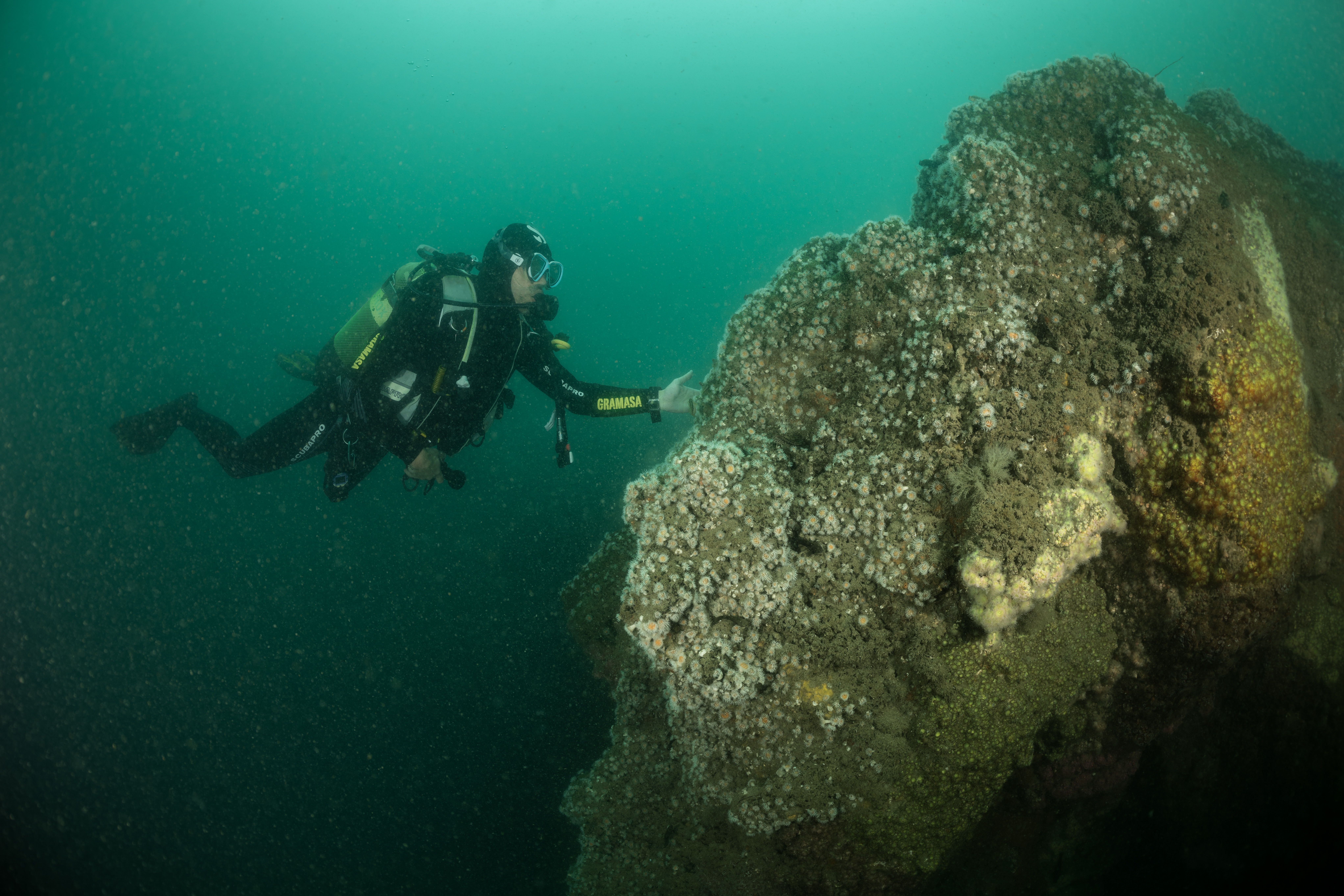 Balade historique : Les secrets des blockhaus engloutis des Gaillouneys
