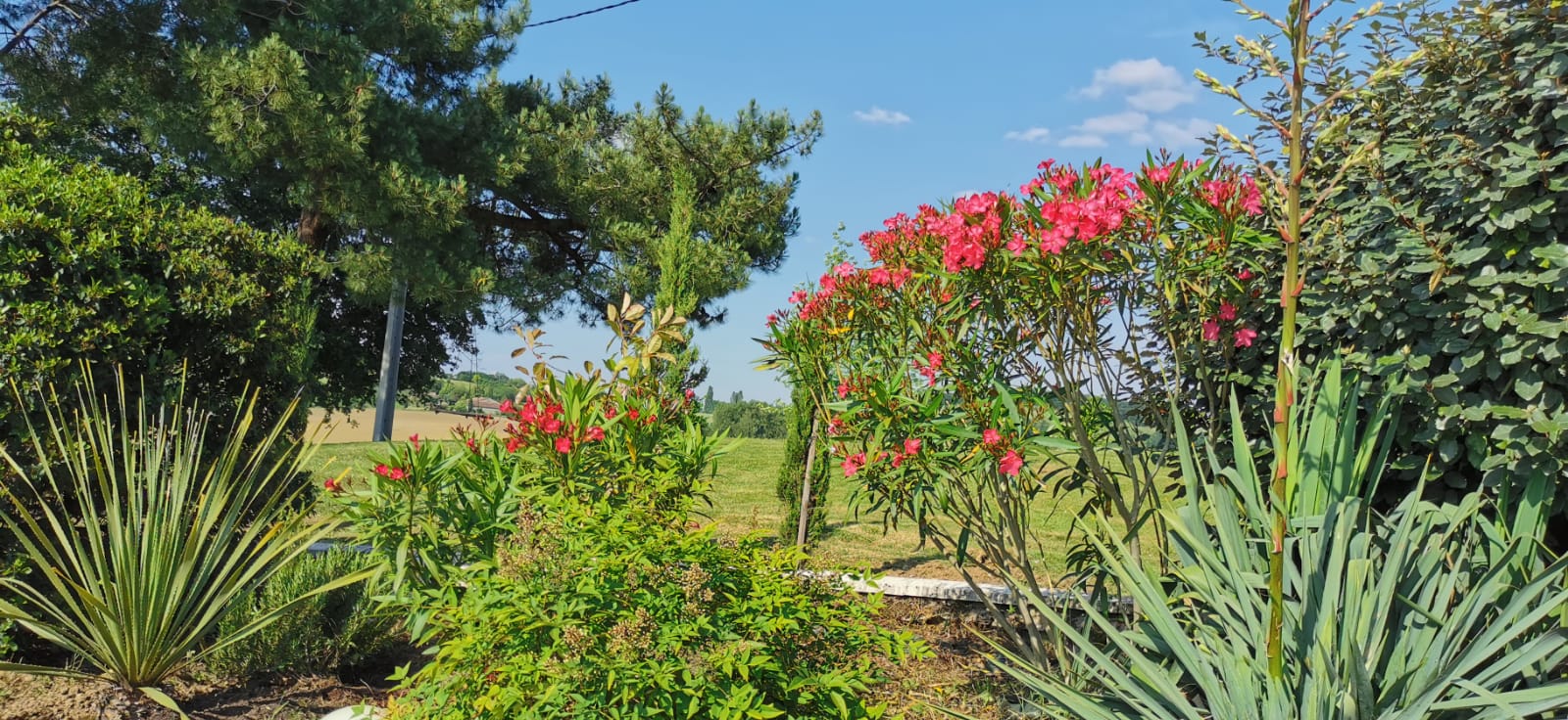 Le Domaine de Beunes, Pailloles - photo 16
