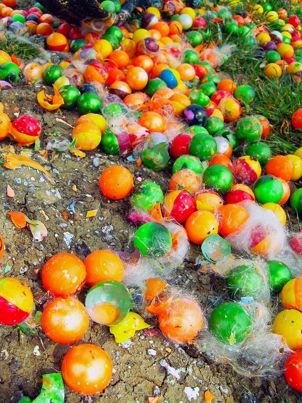 Paint Ball, Saint-Julien-en-Born - photo 4