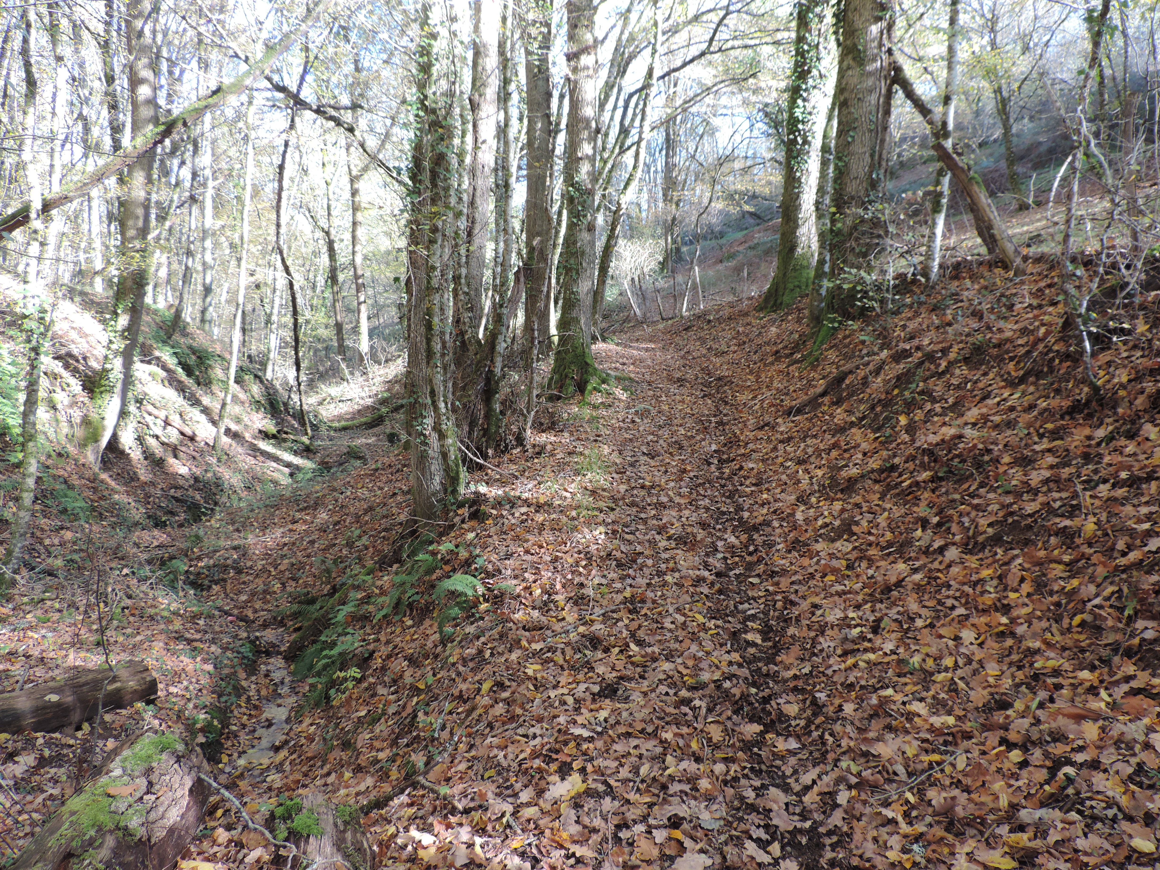 Chemin de la Queyrille, Queyssac-les-Vignes - photo 8