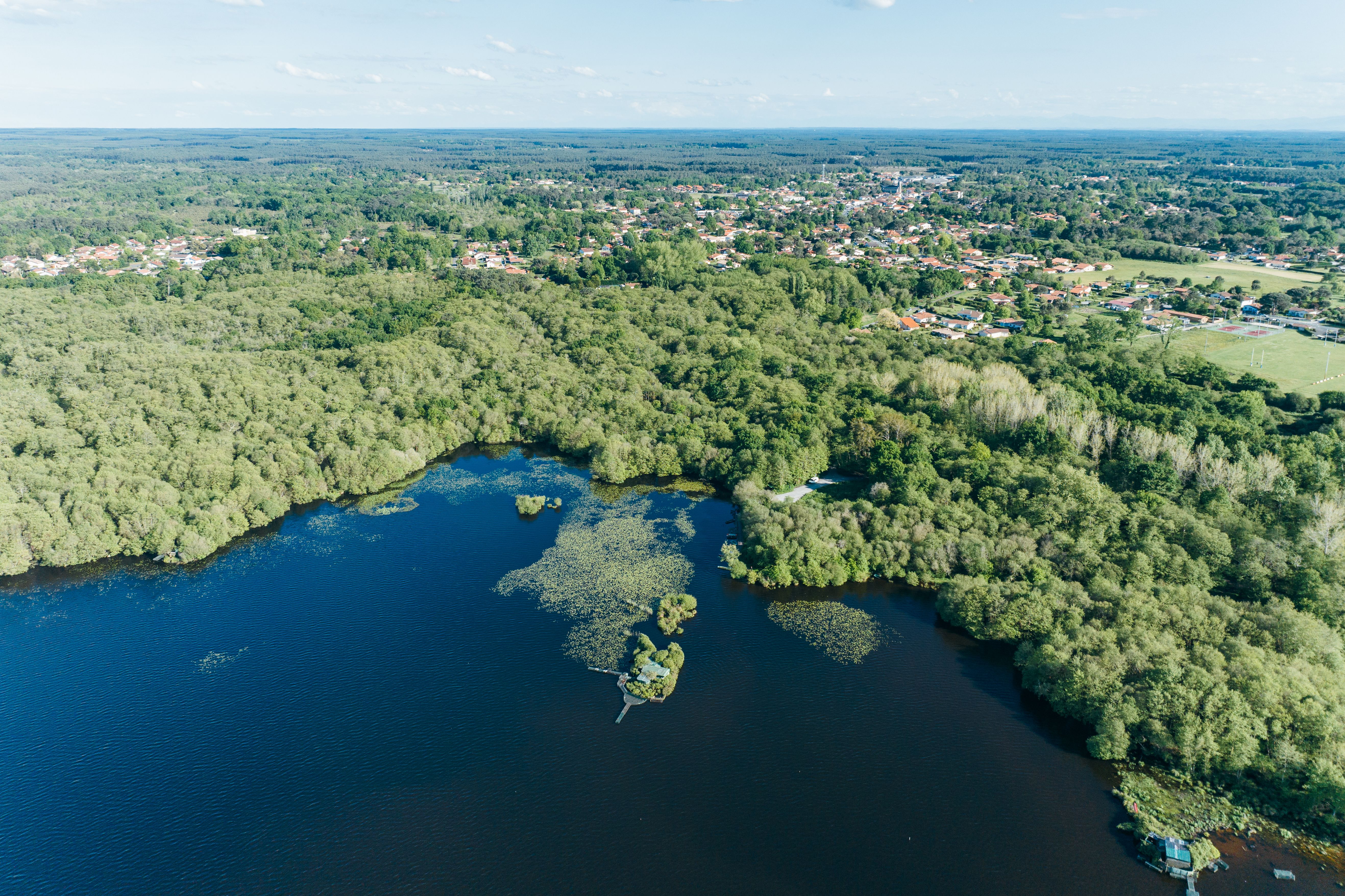 La Forêt Paloma - photo 4