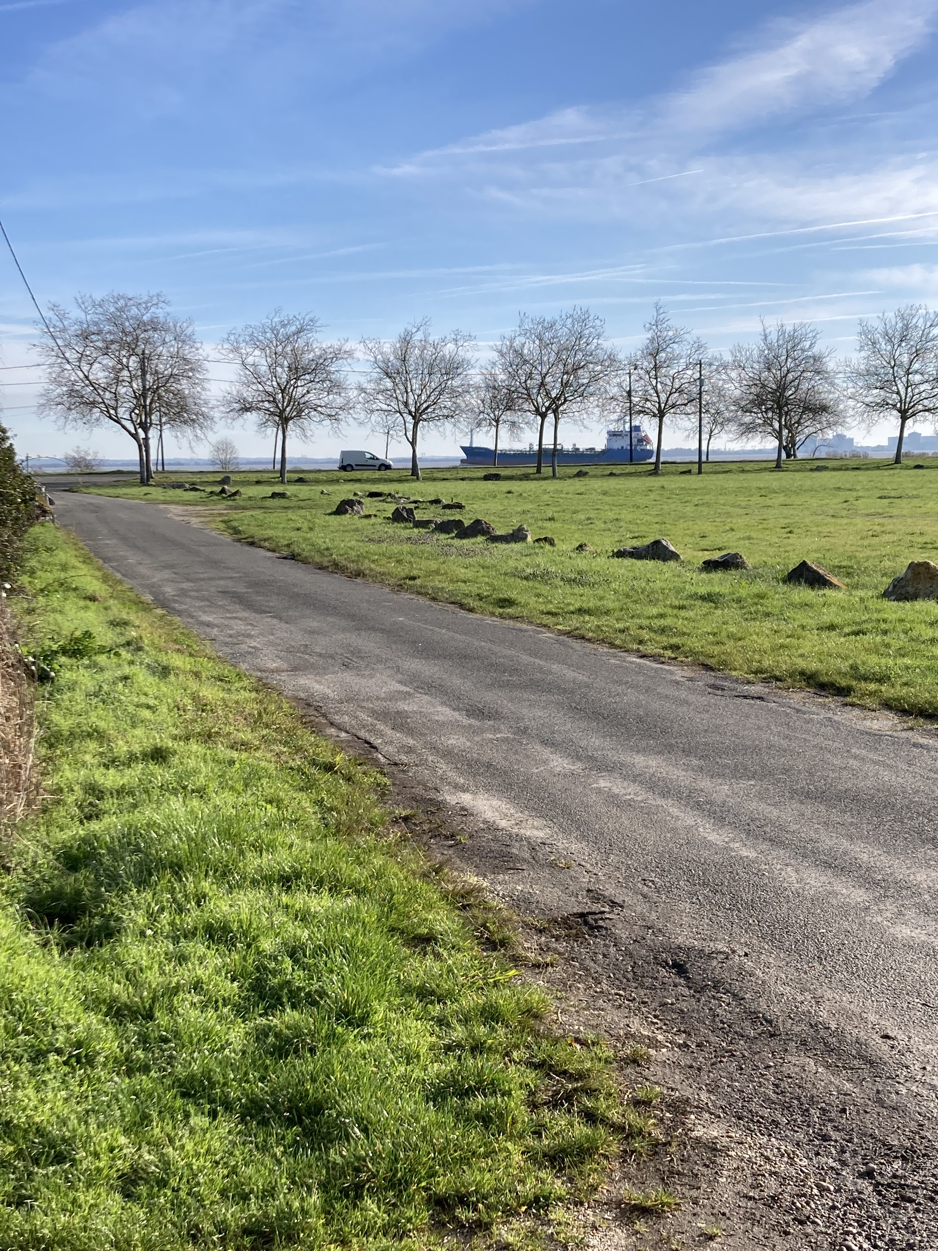 Pamphilie, Saint-Estèphe - photo 5