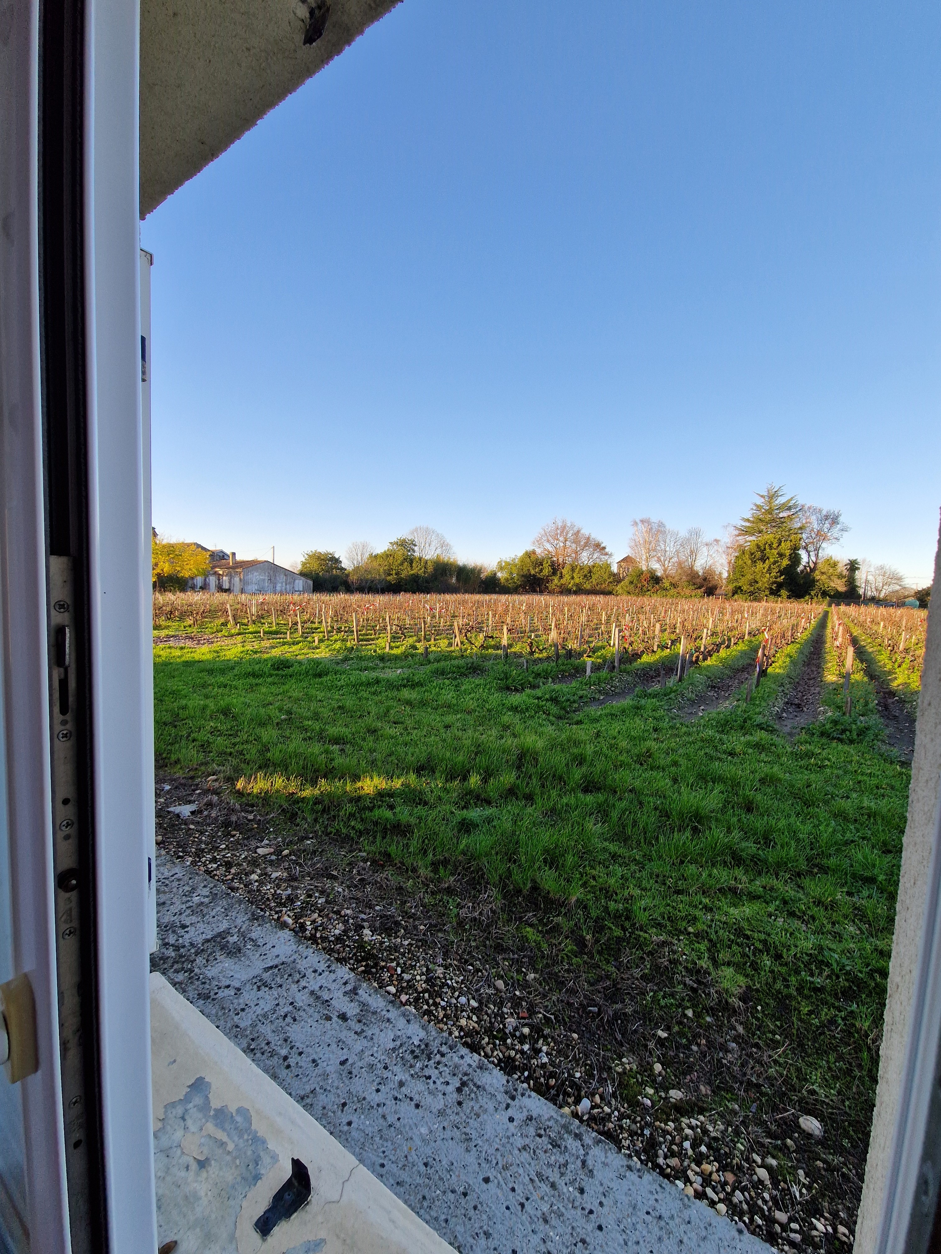 Pamphilie, Saint-Estèphe - photo 11