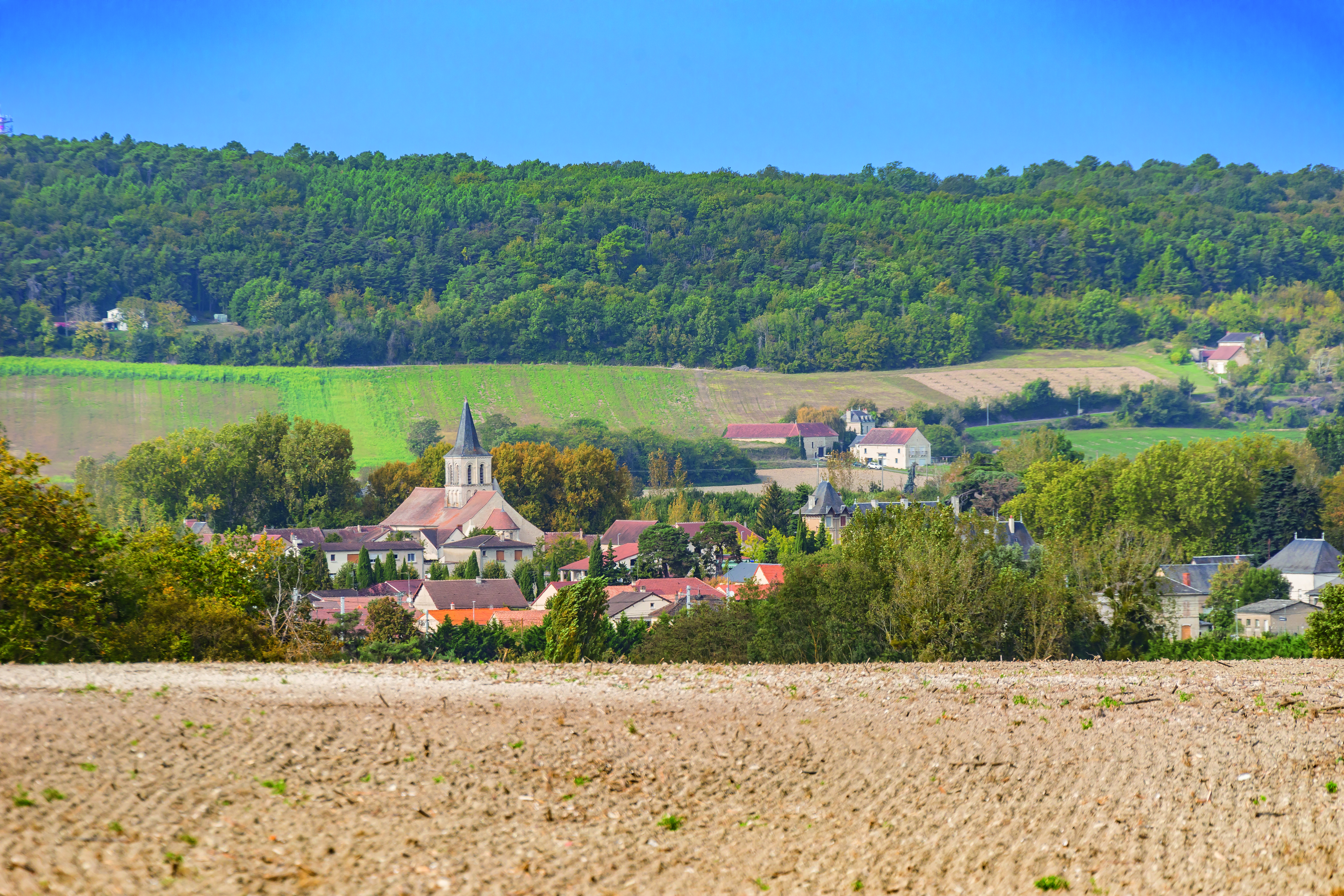 Chemin du Lac aux Niallières - Circuit  n°62