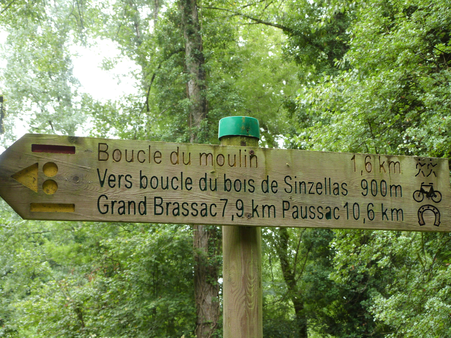 Boucle de Grand-Brassac - Bois de Sinzelles - photo 3