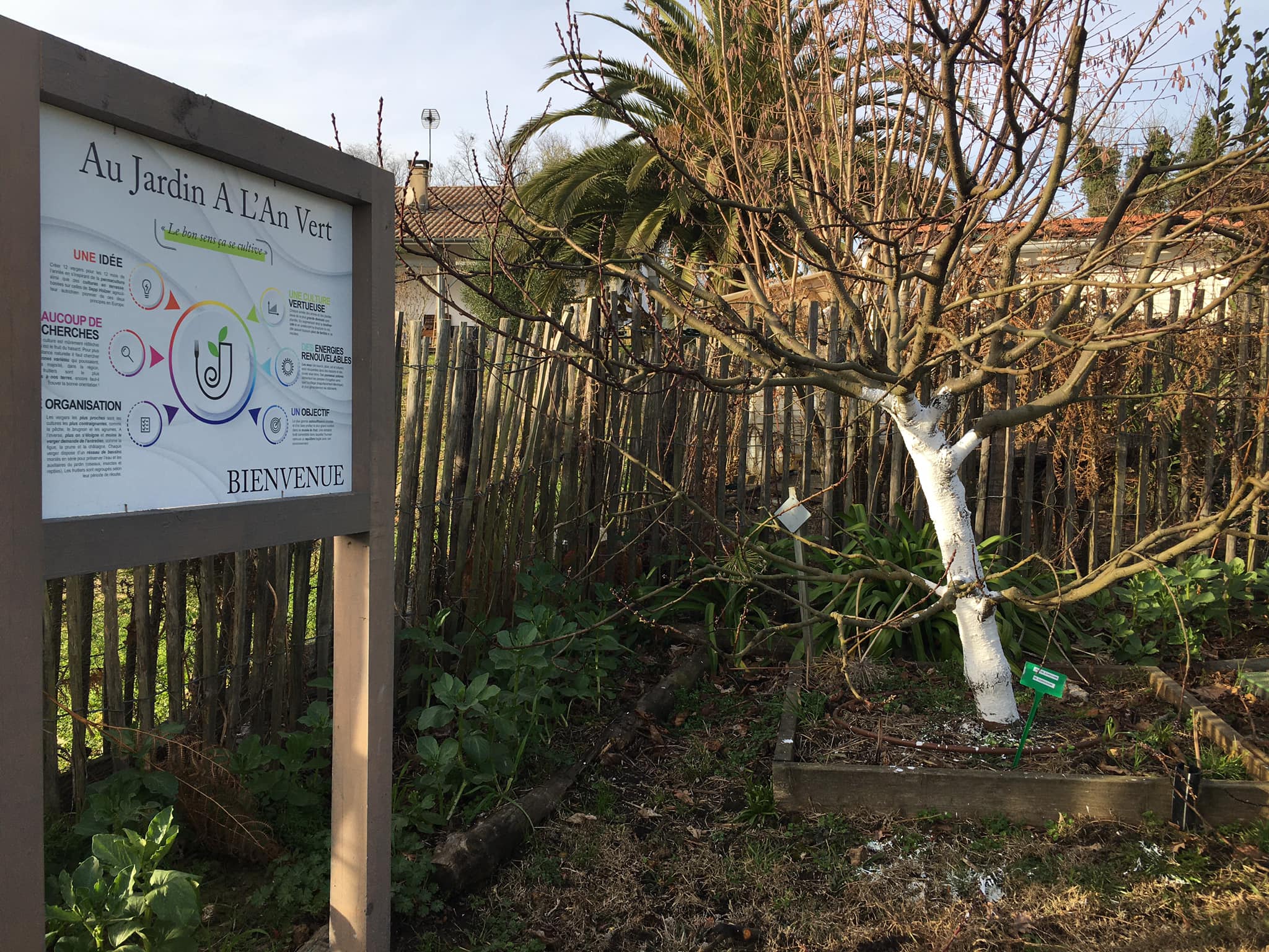 Le Musée du fruit, Cagnotte - photo 2